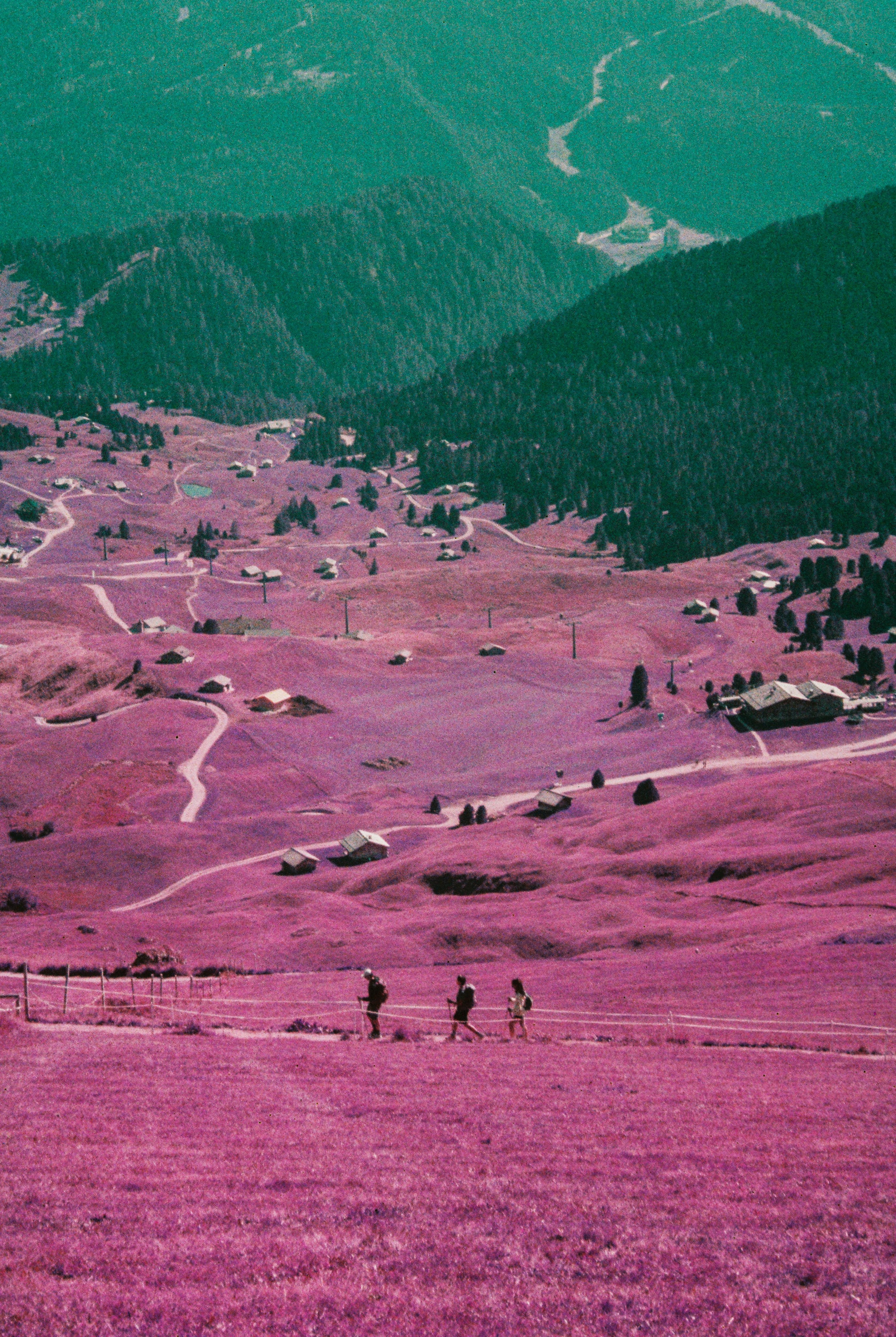 Фотографии природных явлений и животных. Фотограф Андрей Македонский
