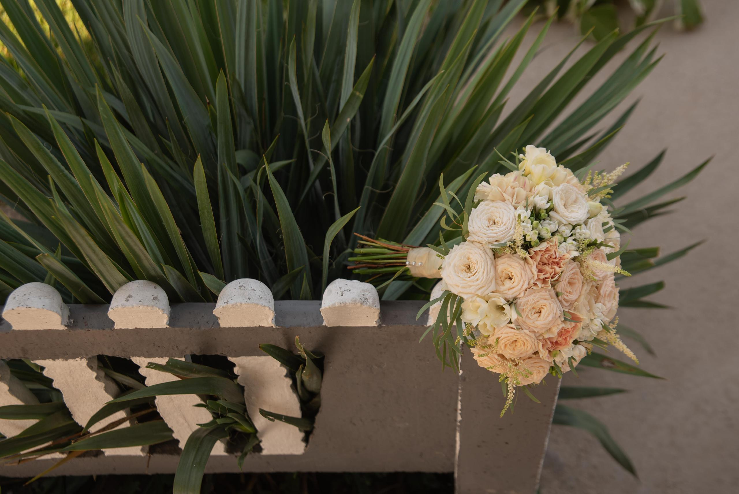 Алина и Лёша. Свадебный и семейный фотограф Ольга Астрейко