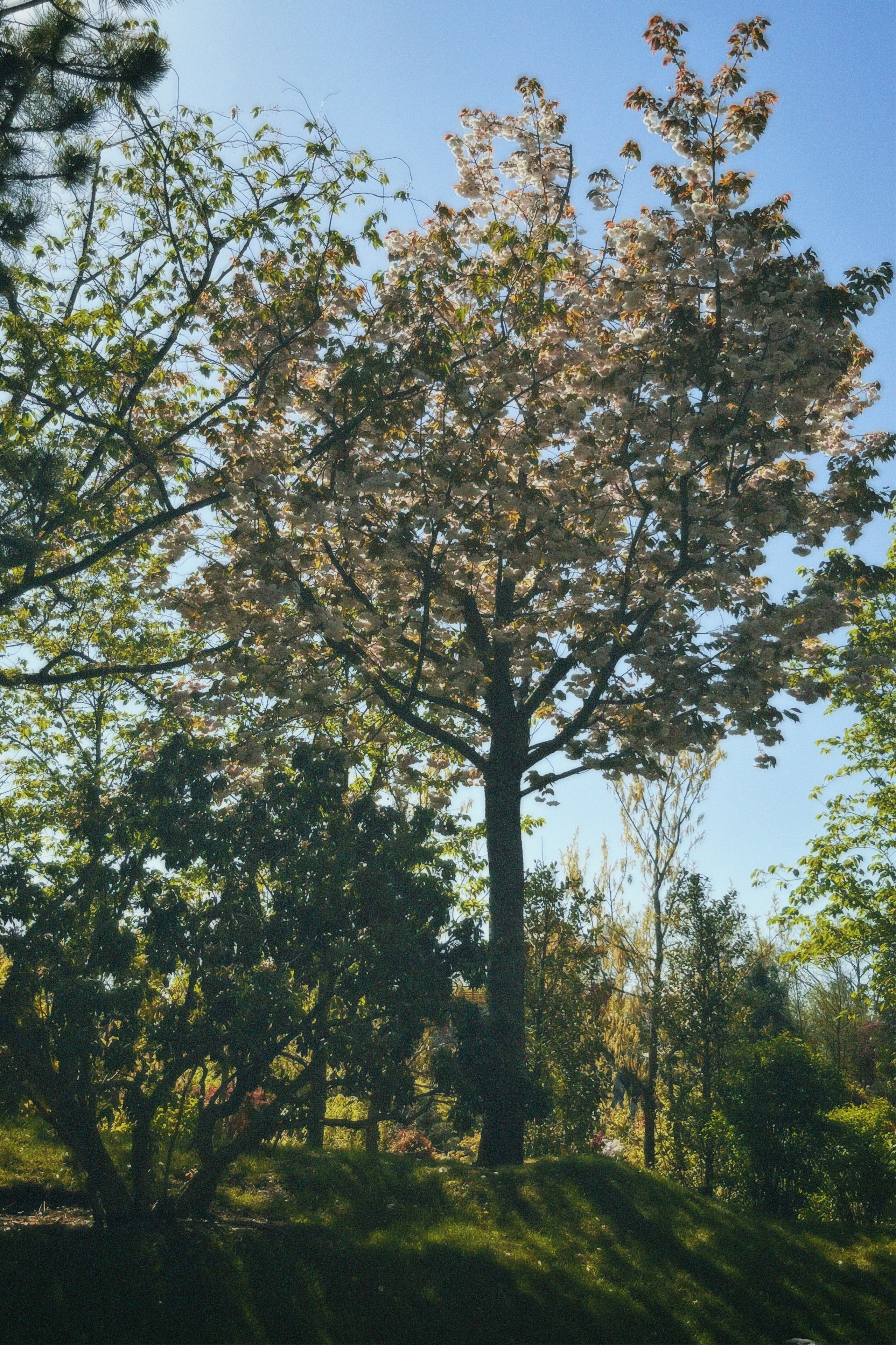 КРАСНОДАР. Портретный и лавстори фотограф в Стерлитамаке Альбина Шарт