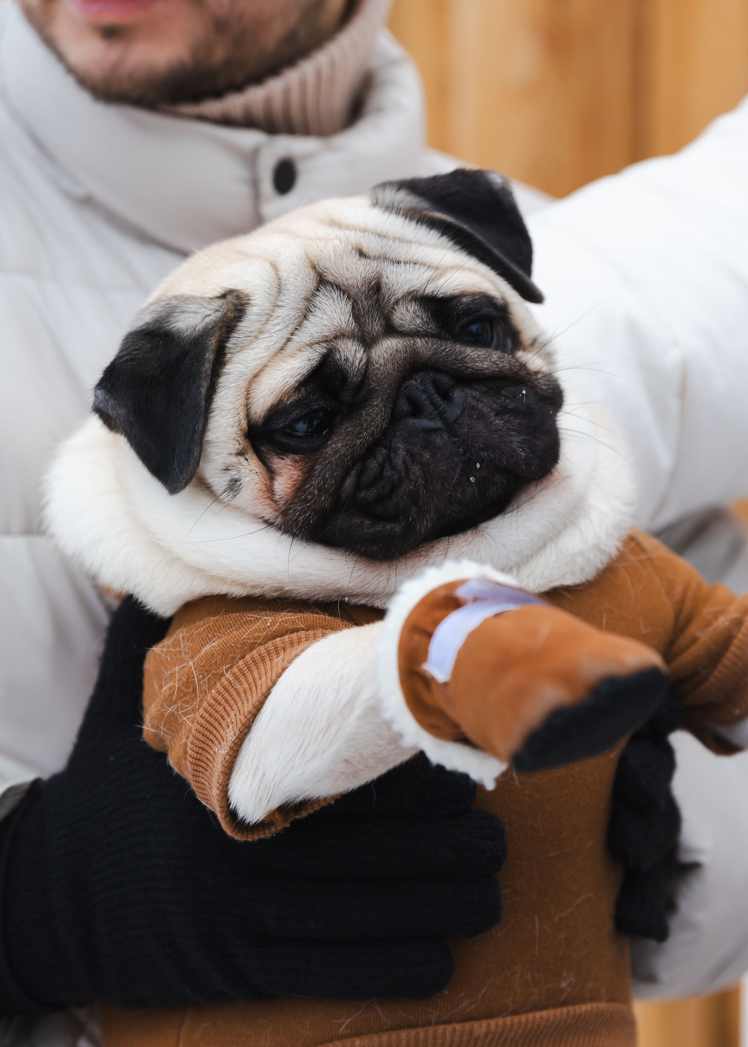 07.12.2024 Фотосессия в&nbsp;Козьем Парке