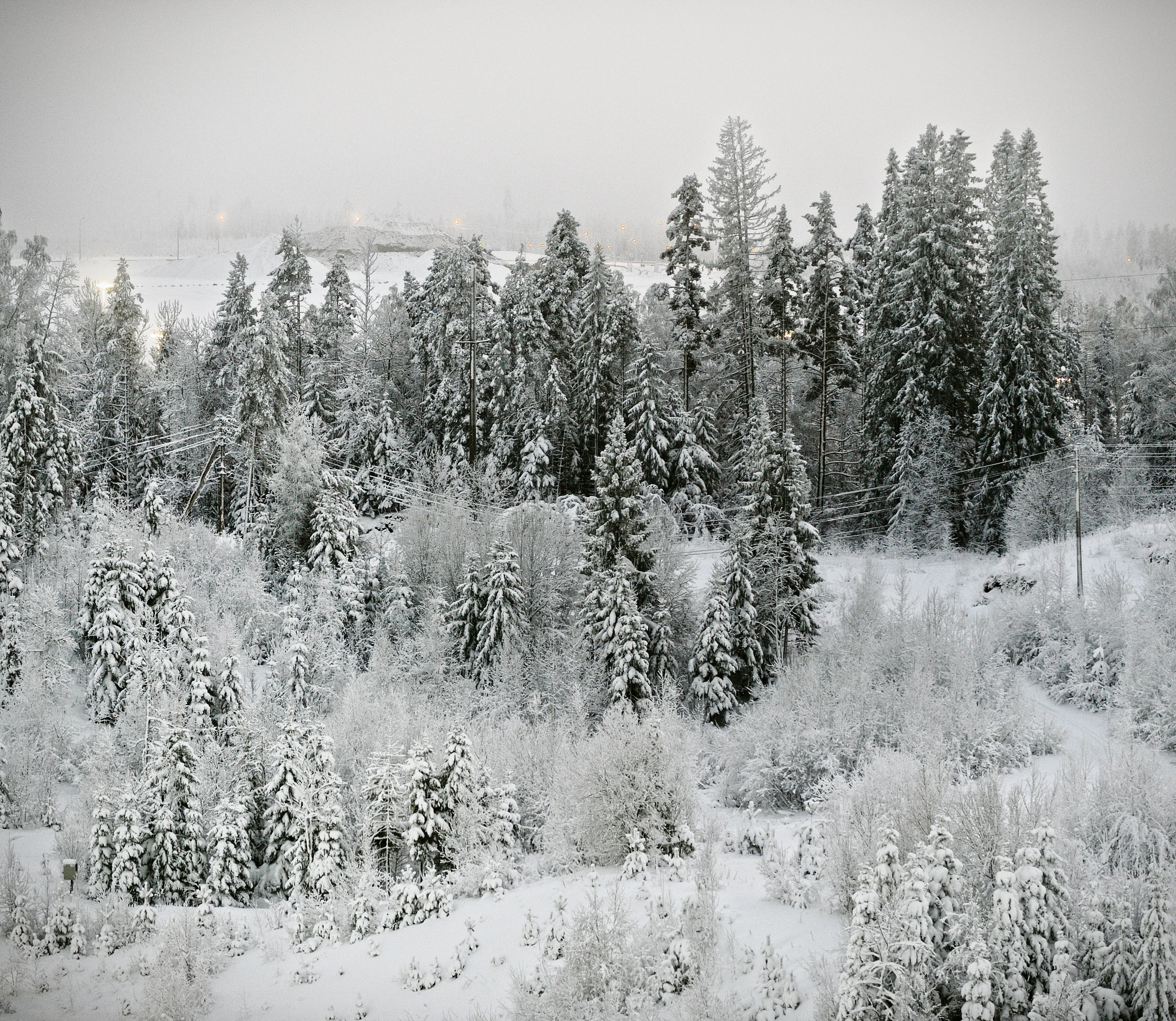 Зима. Пейзажный и предметный фотограф в Санкт-Петербурге Александр Богданов