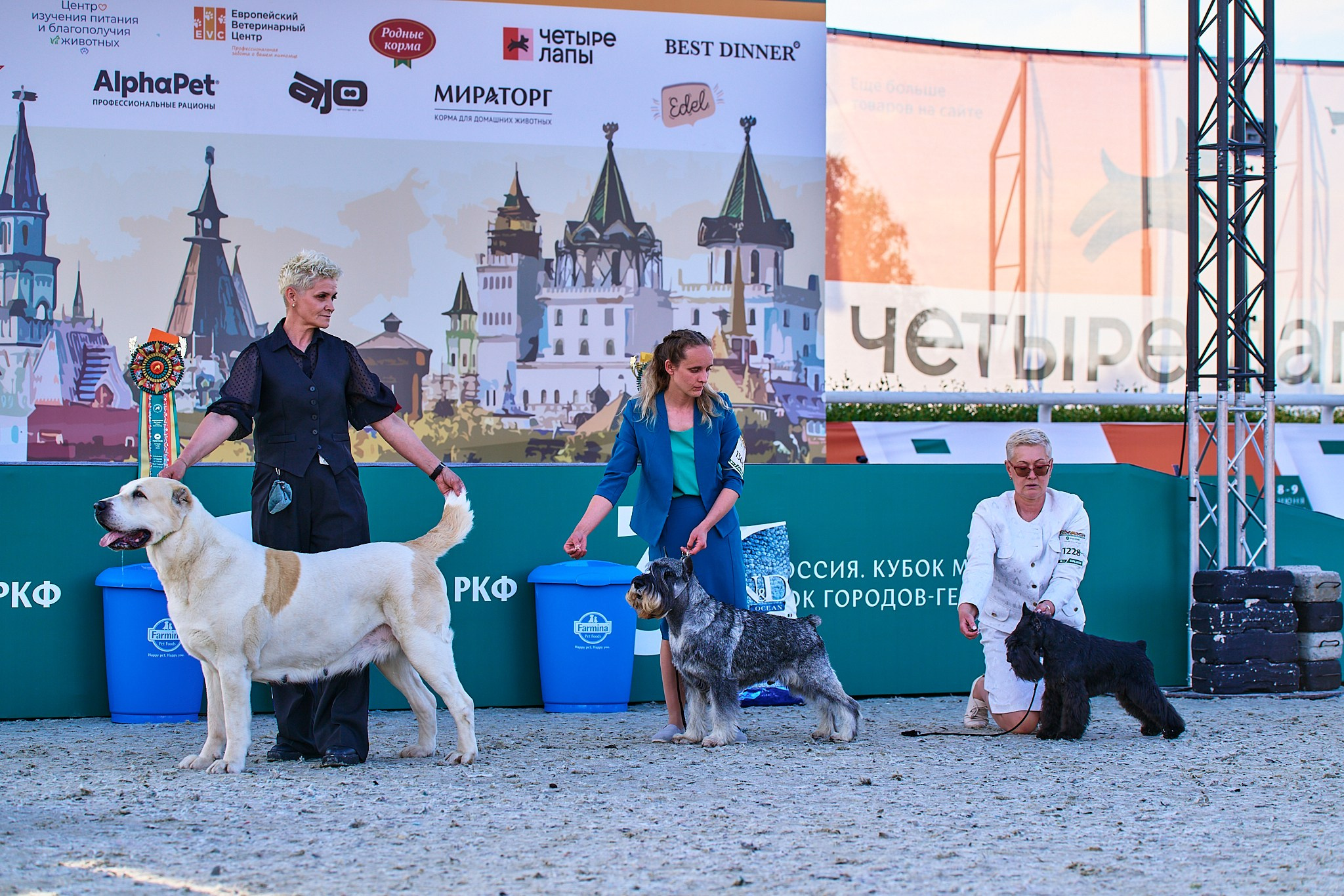 08.06.2024 «РОССИЯ. КУБОК РКФ 2024»