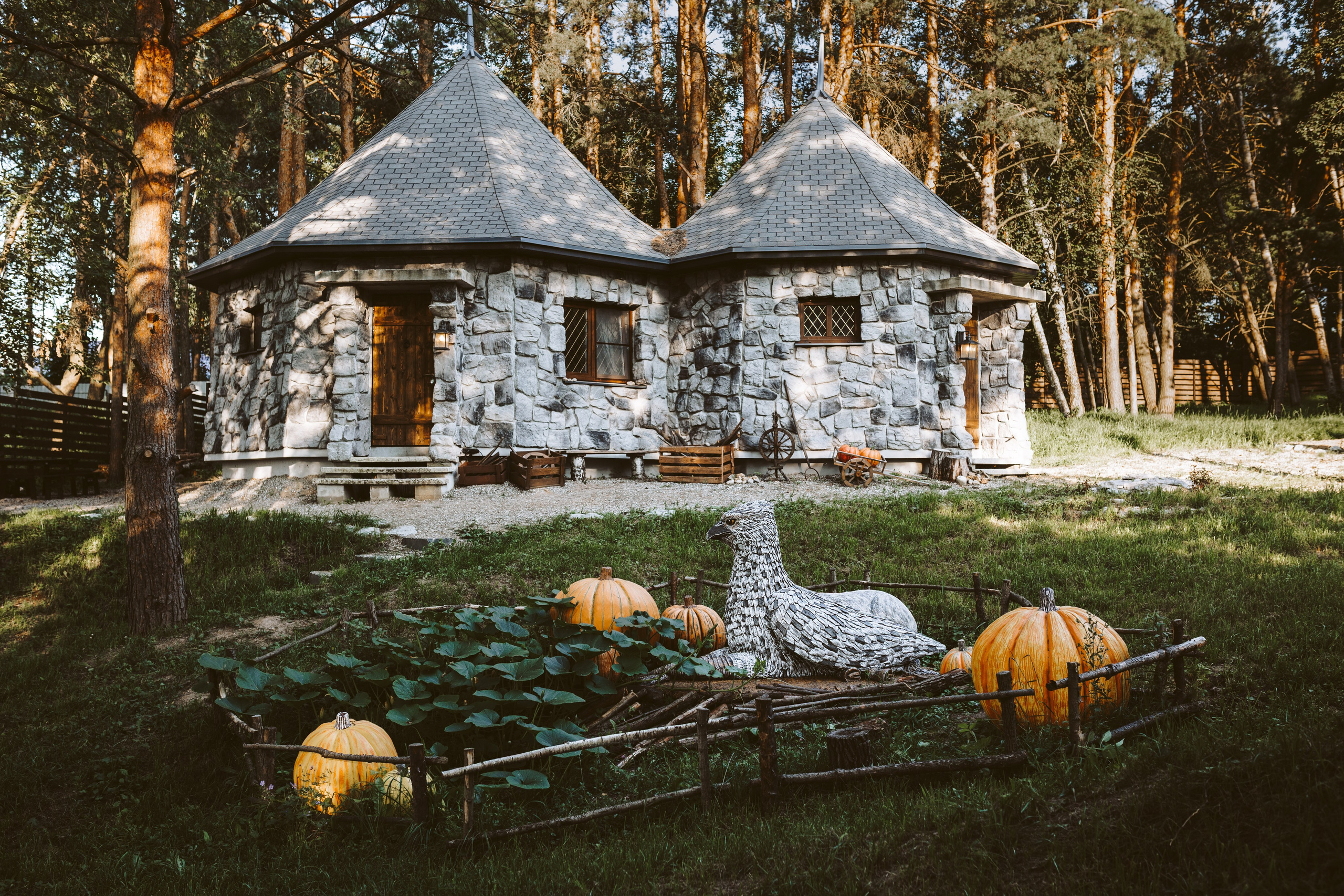 Хижина Хагрида. Свадебный фотограф Курзина Ольга | Москва