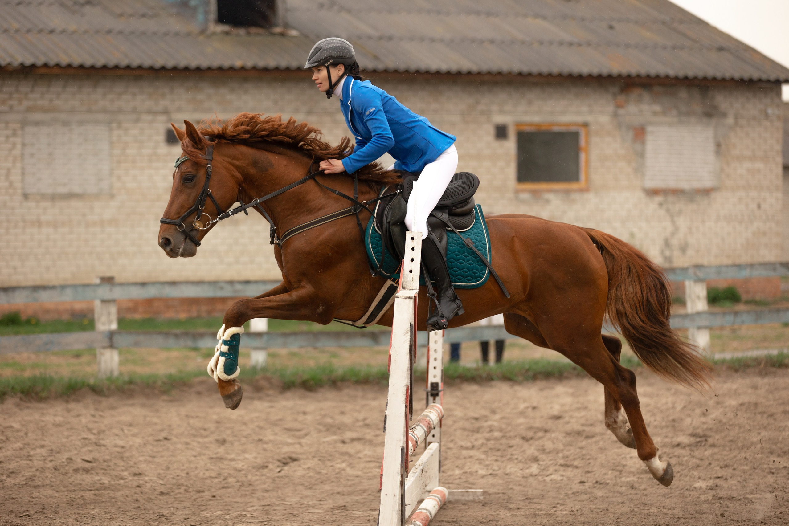 Соревнования по конному спорту. Конный фотограф Валынкина Лера