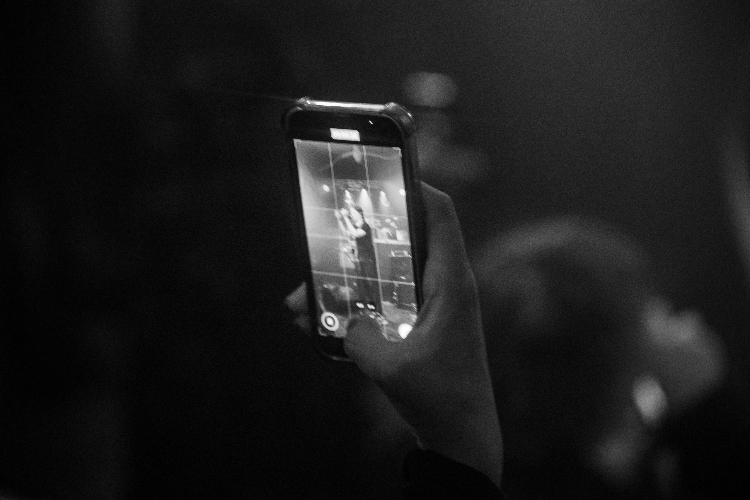 Летние войны • Skimist • 100 Собак | Ласточка. Концертный и репортажный фотограф в Санкт-Петербурге Слава Пахомов