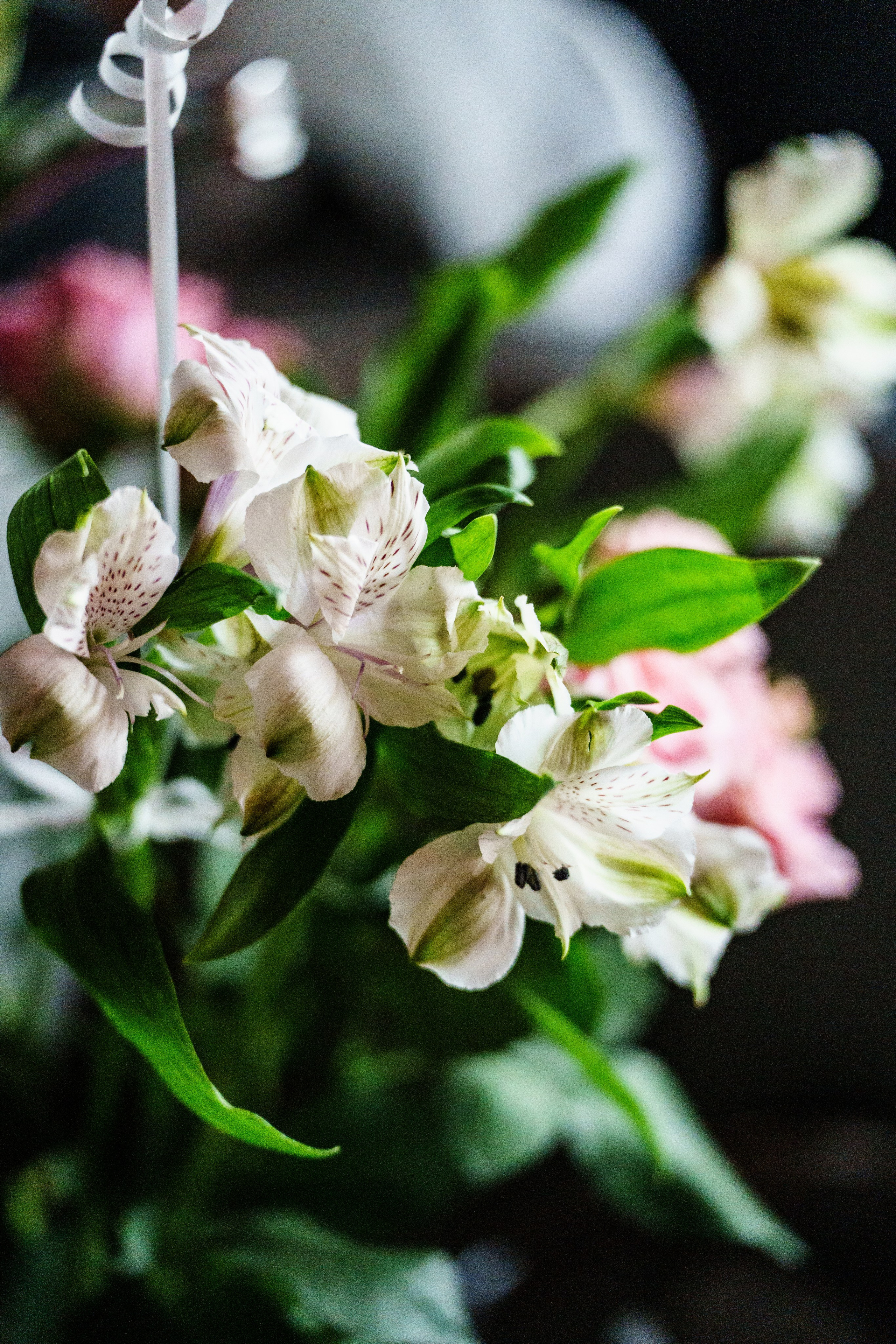 День святого Валентина в Баре разбитых сердец. Концертный и репортажный фотограф в Санкт-Петербурге Слава Пахомов