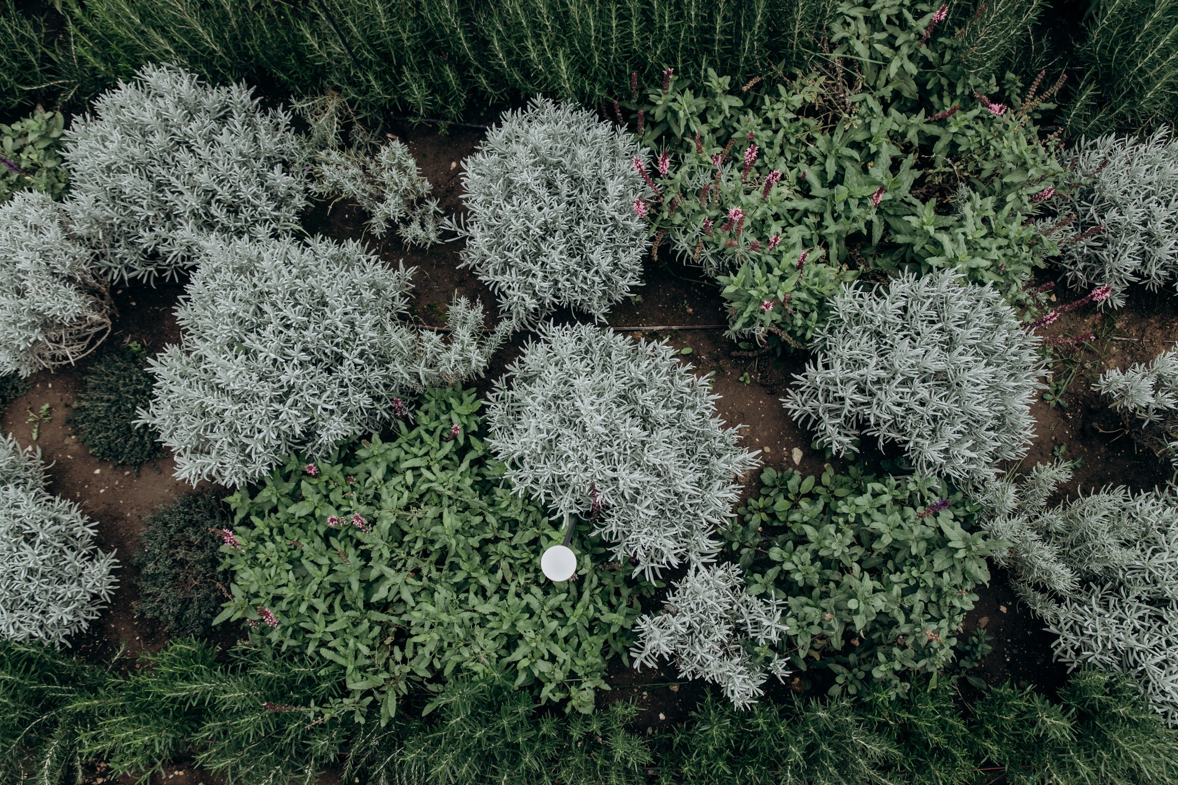 Съёмка для компании INTEQ HAUS из Москвы. Фотограф в Крыму — Федор зайцев. Свадебная, семейная и портретная съёмка. Фотографии для контента, для бизнеса. Корпоративная съёмка