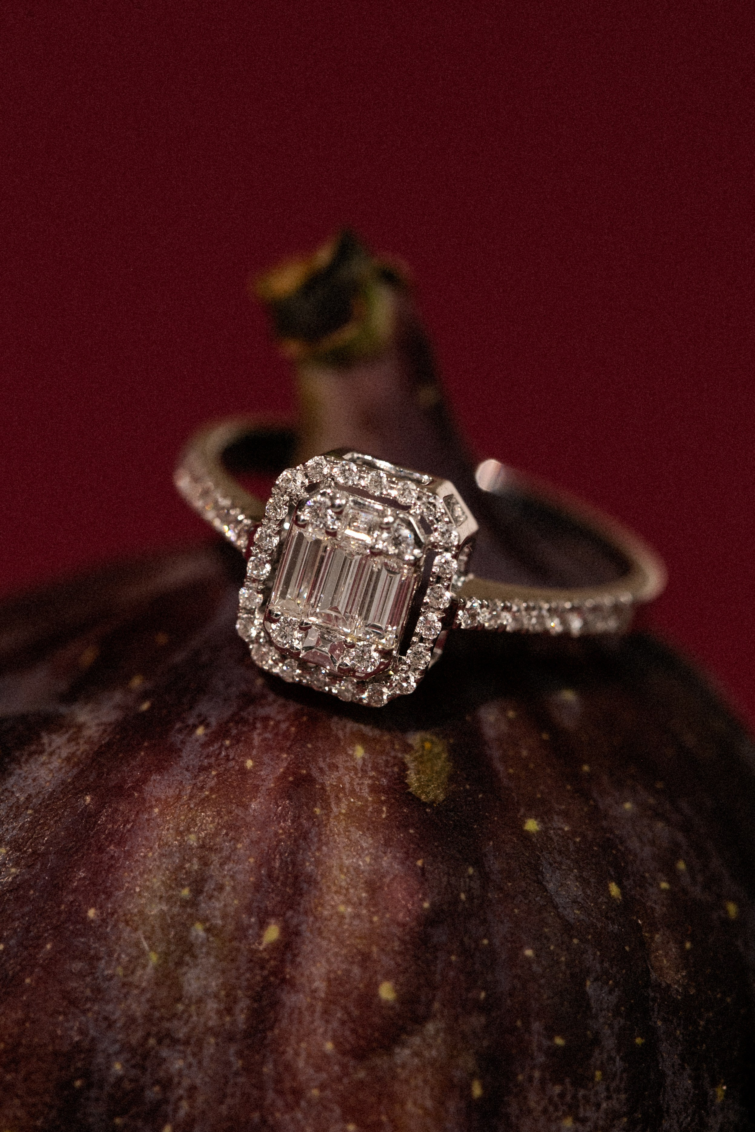 Jolie. Фотограф Шевчик Виктория