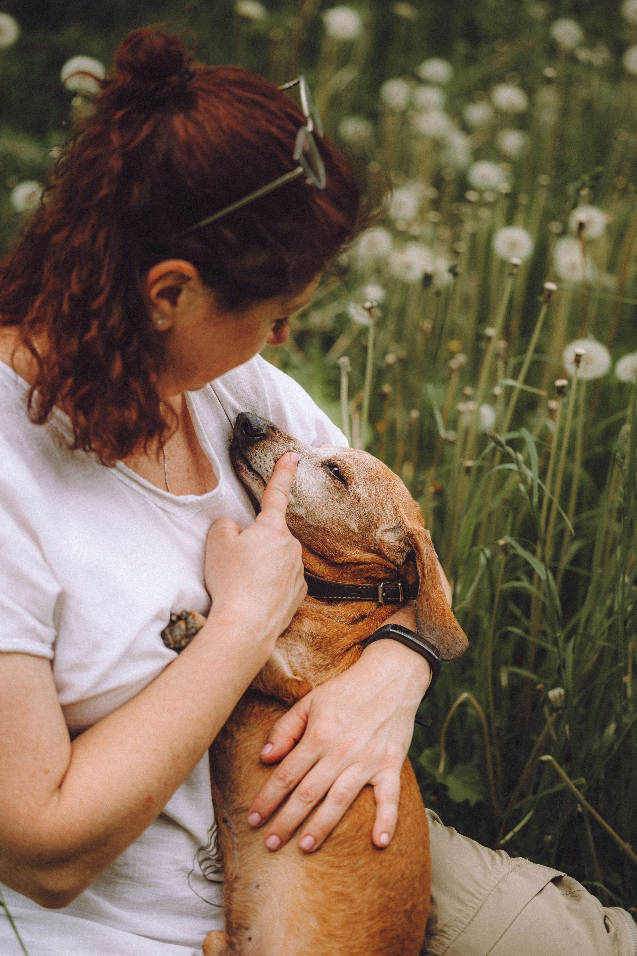 Груша, Данни, Фунтик и их семья