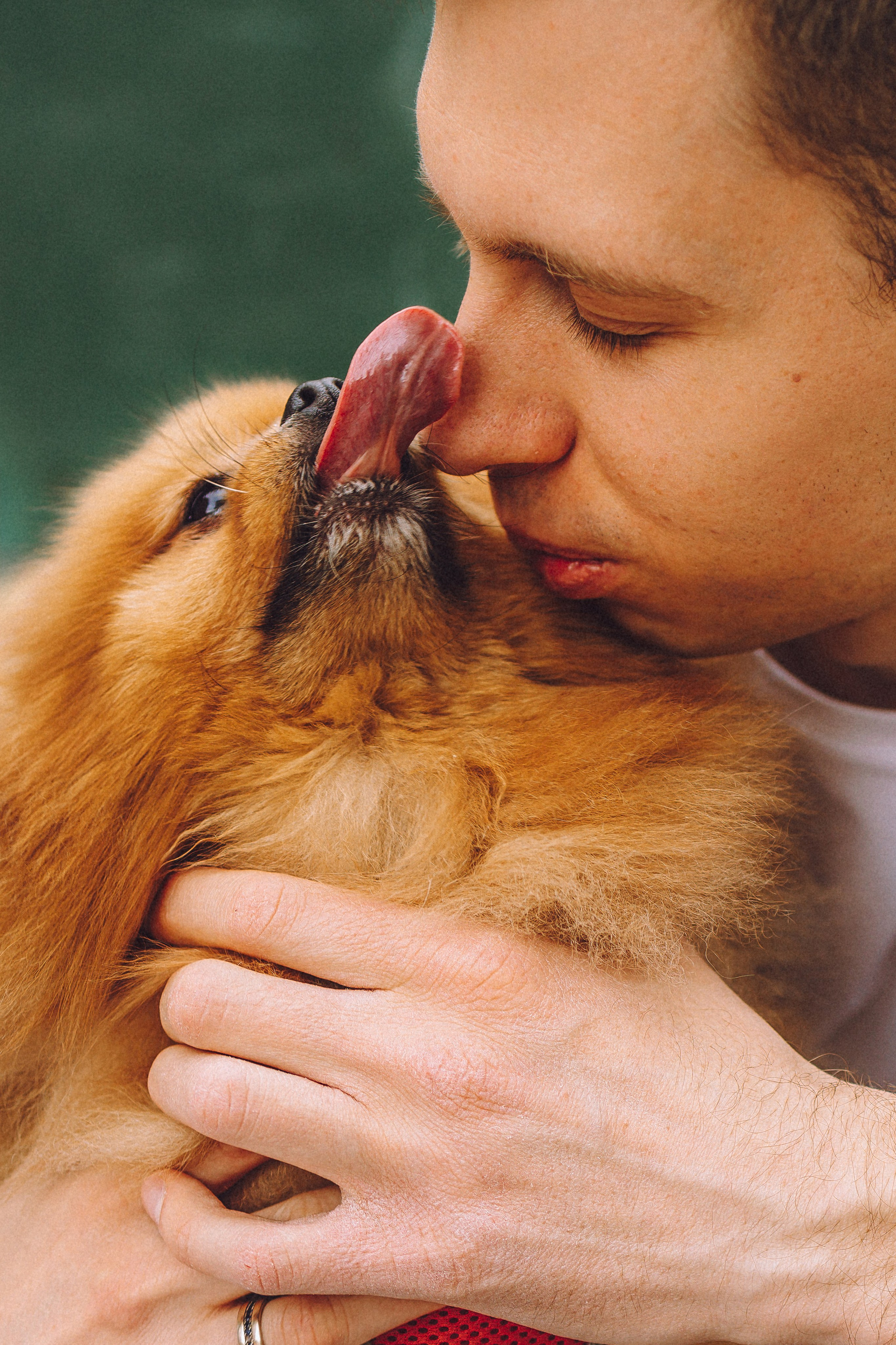 Лорик и его семья