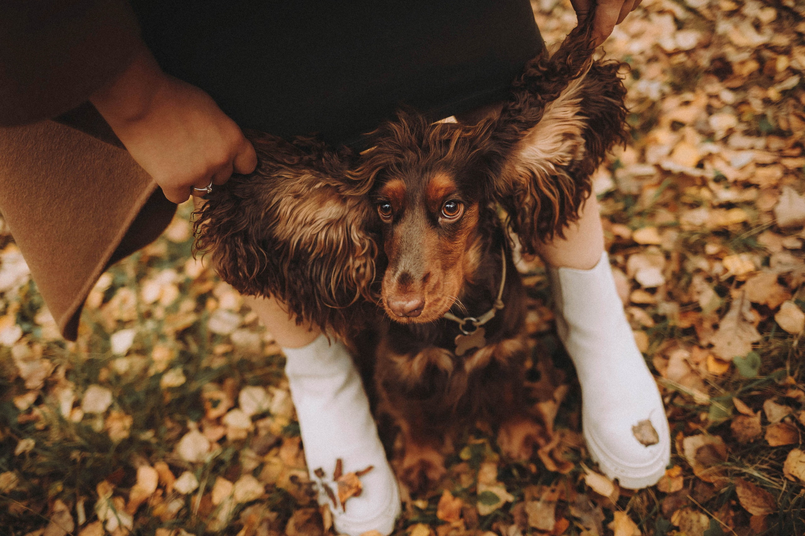 Настя, Саша и Эстер