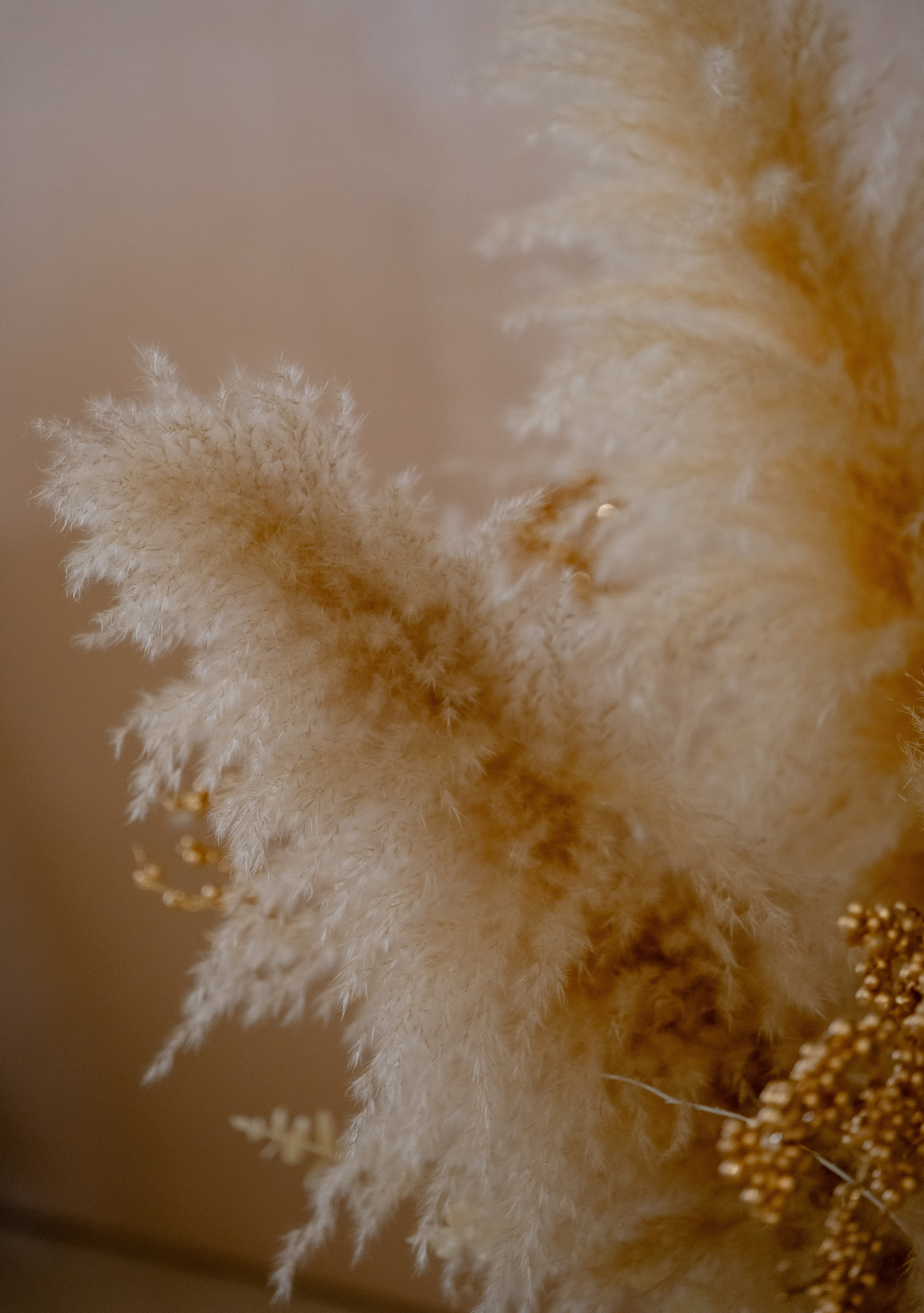 Никах Айрат & Лола. Свадебный и портретный фотограф