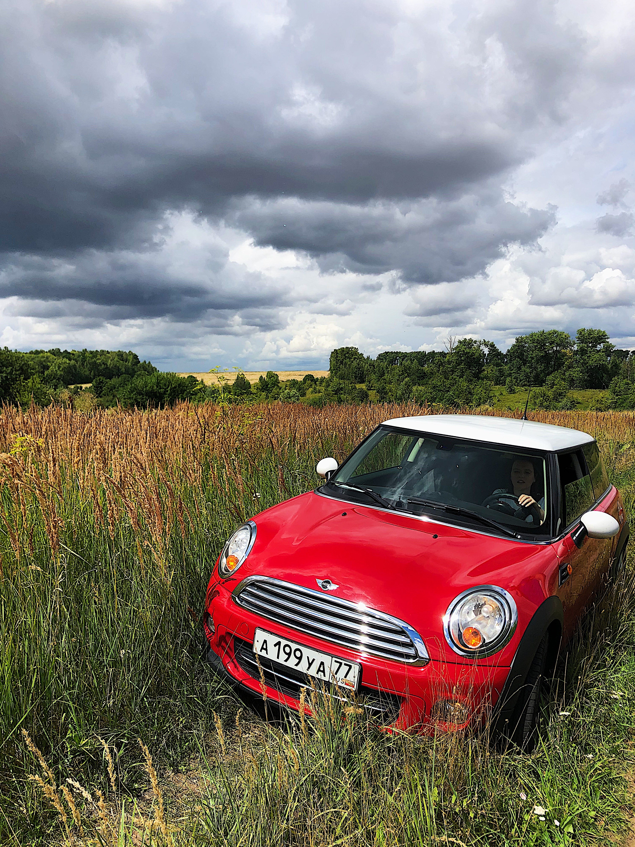 Автор: Екатерина Тимофеенко