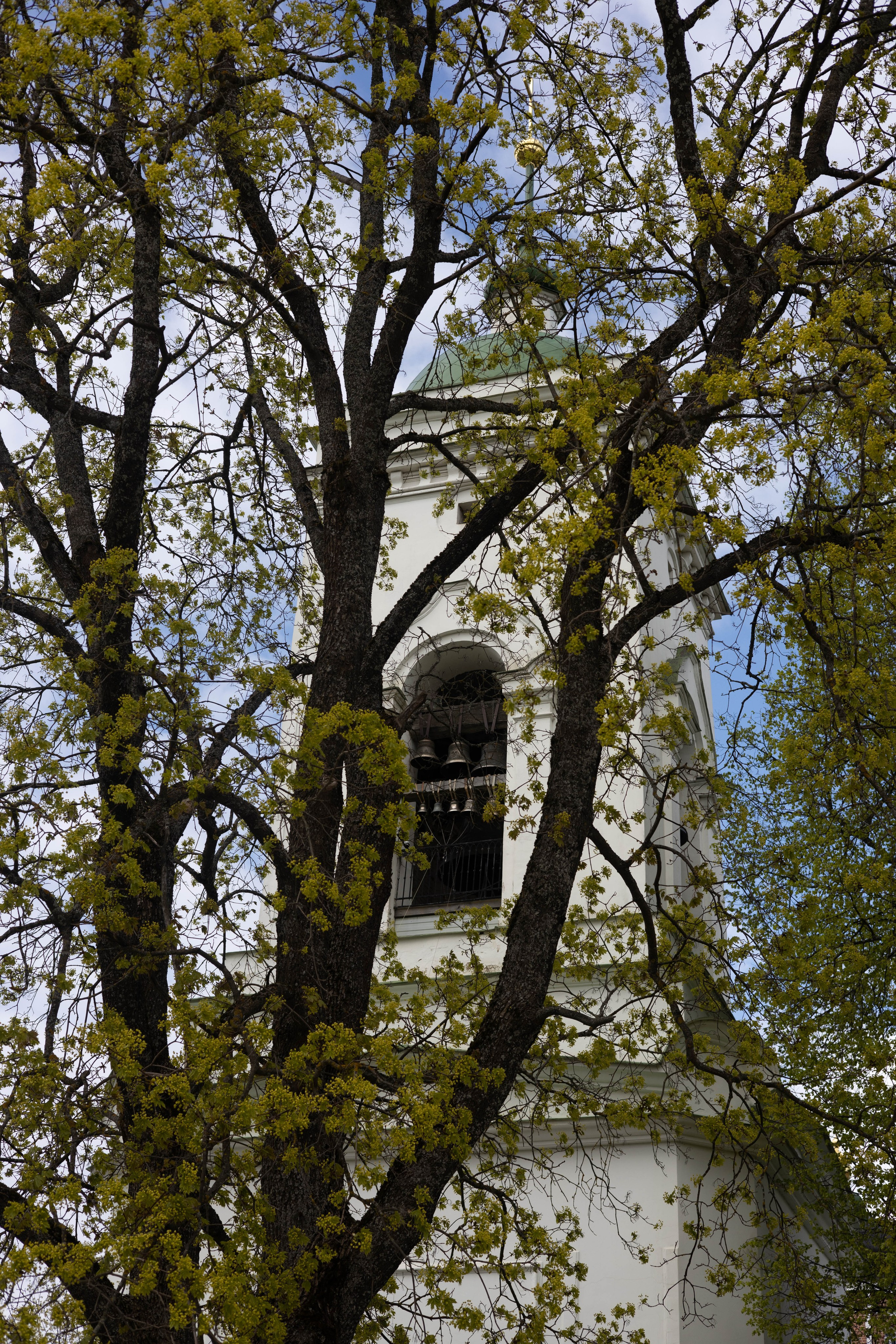 Спасо-Бородинский монастырь. Артеменкова Анна Фотограф