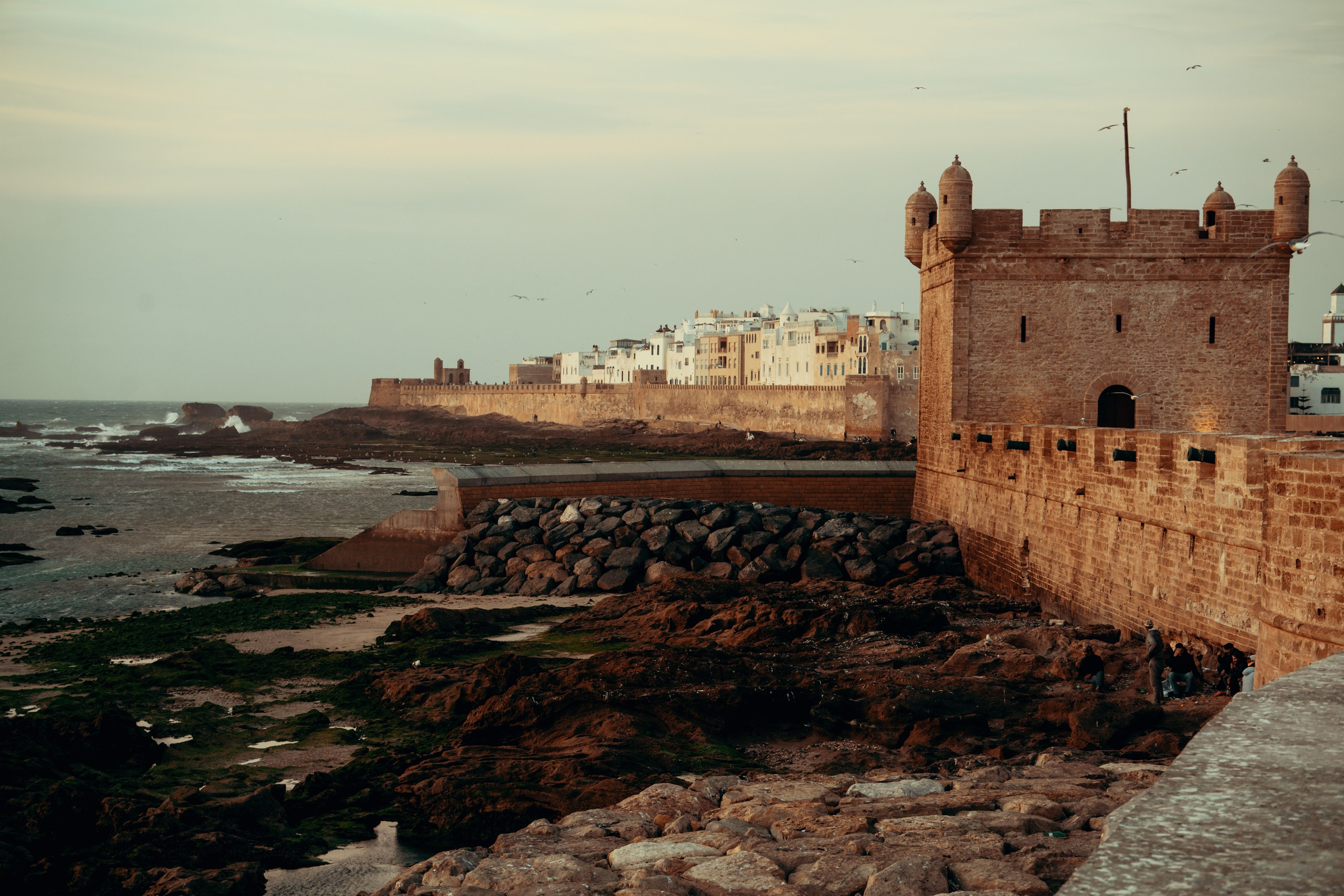 Северная Африка: Тунис, Марокко. Фотограф в Хабаровске. Фотография за 24 часа