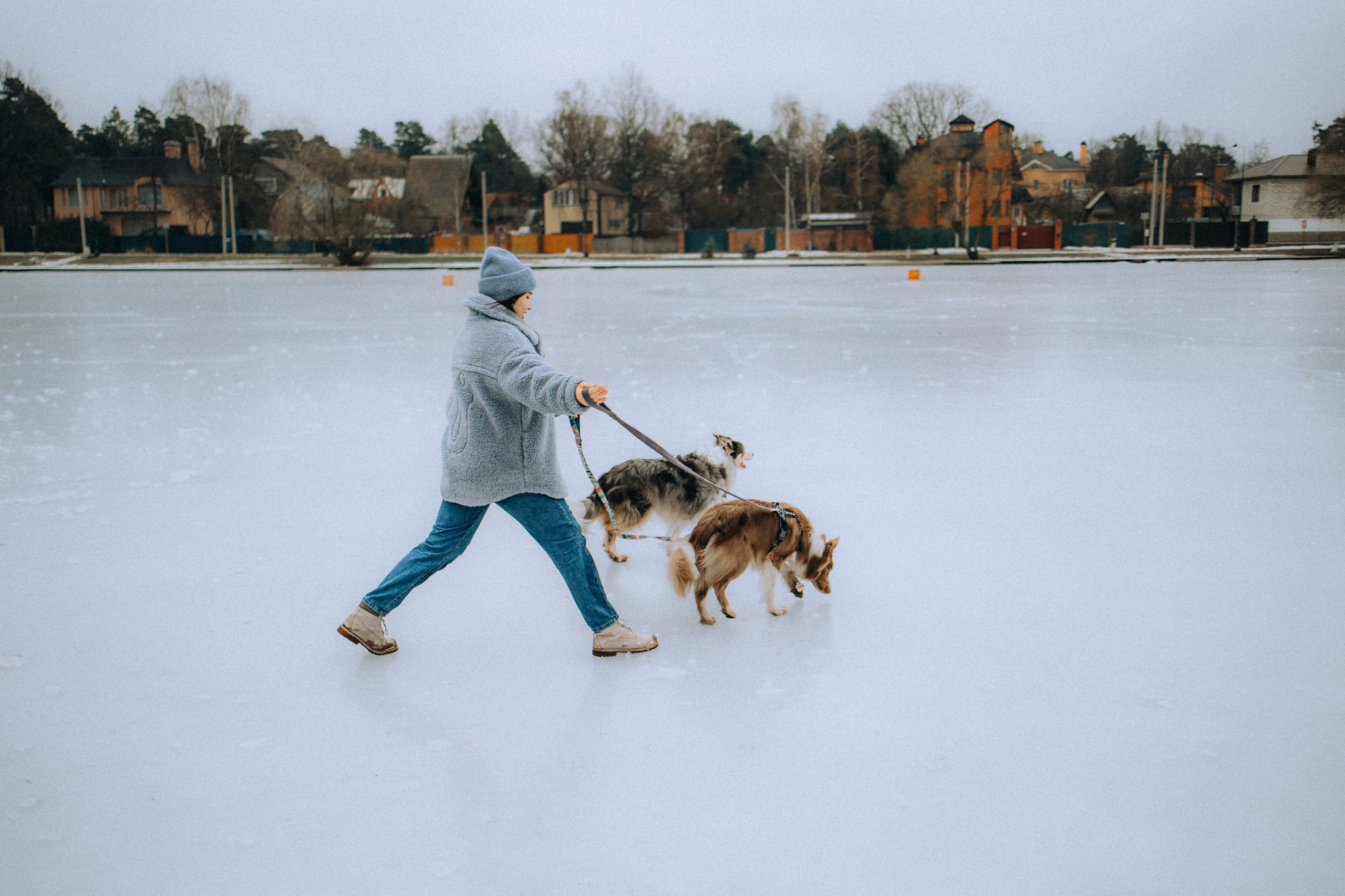Полина, Милли и Паддингтон