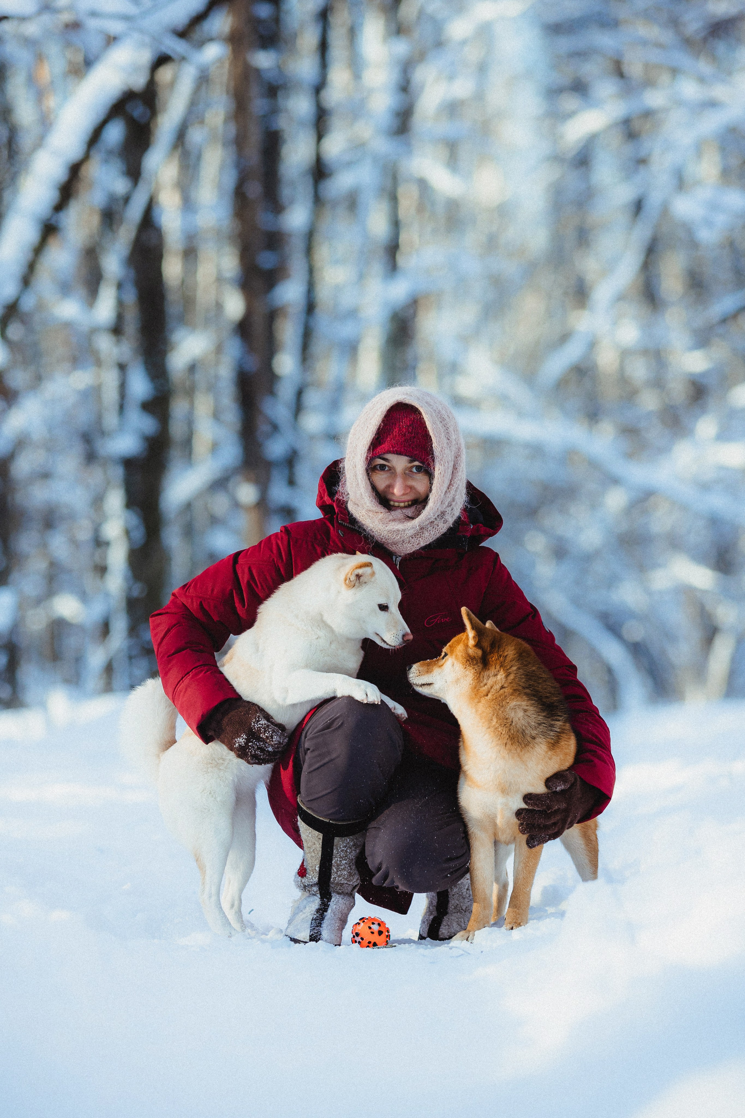 Шед, Цири и Ира