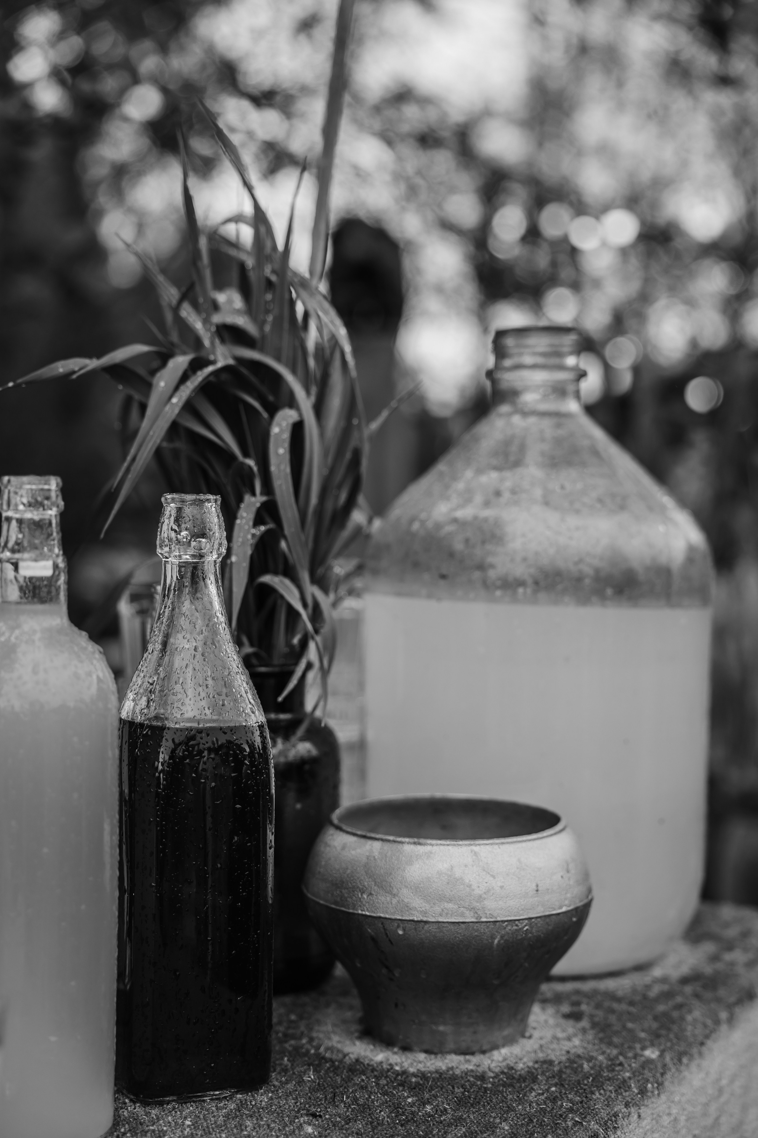 ХОЛОП -тематический праздник. Свадебный фотограф Минск РБ