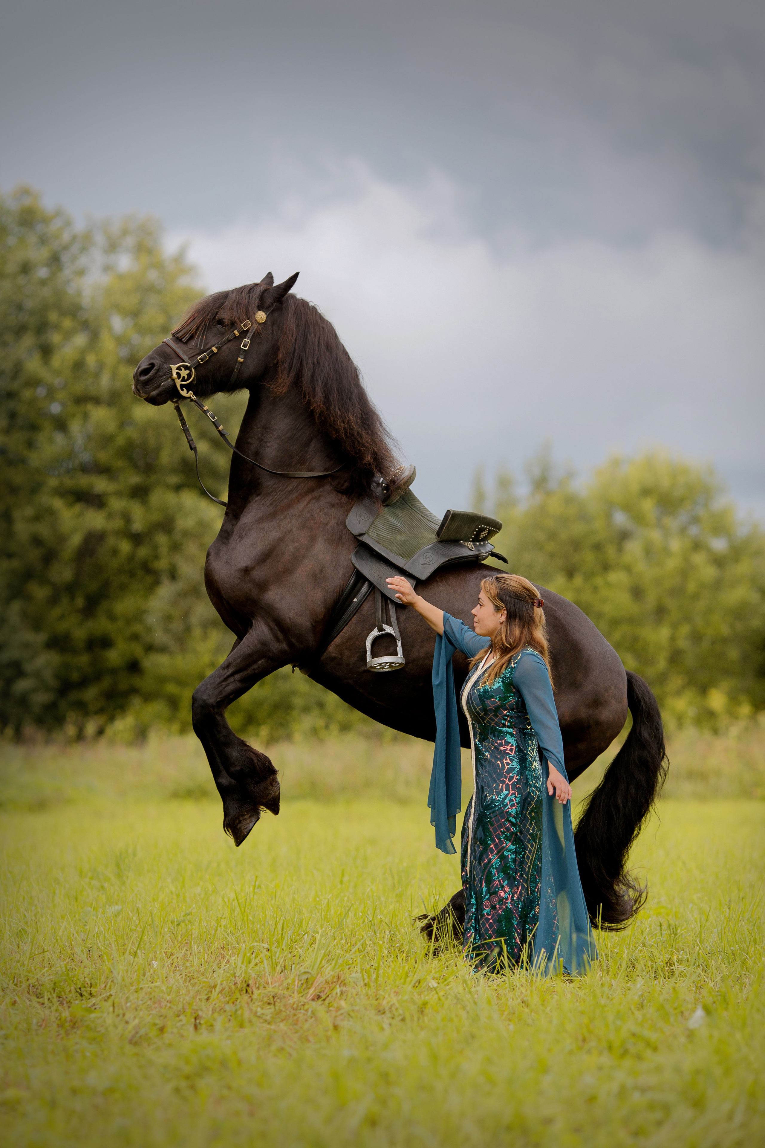 Кори и фризская кобыла Тинэке