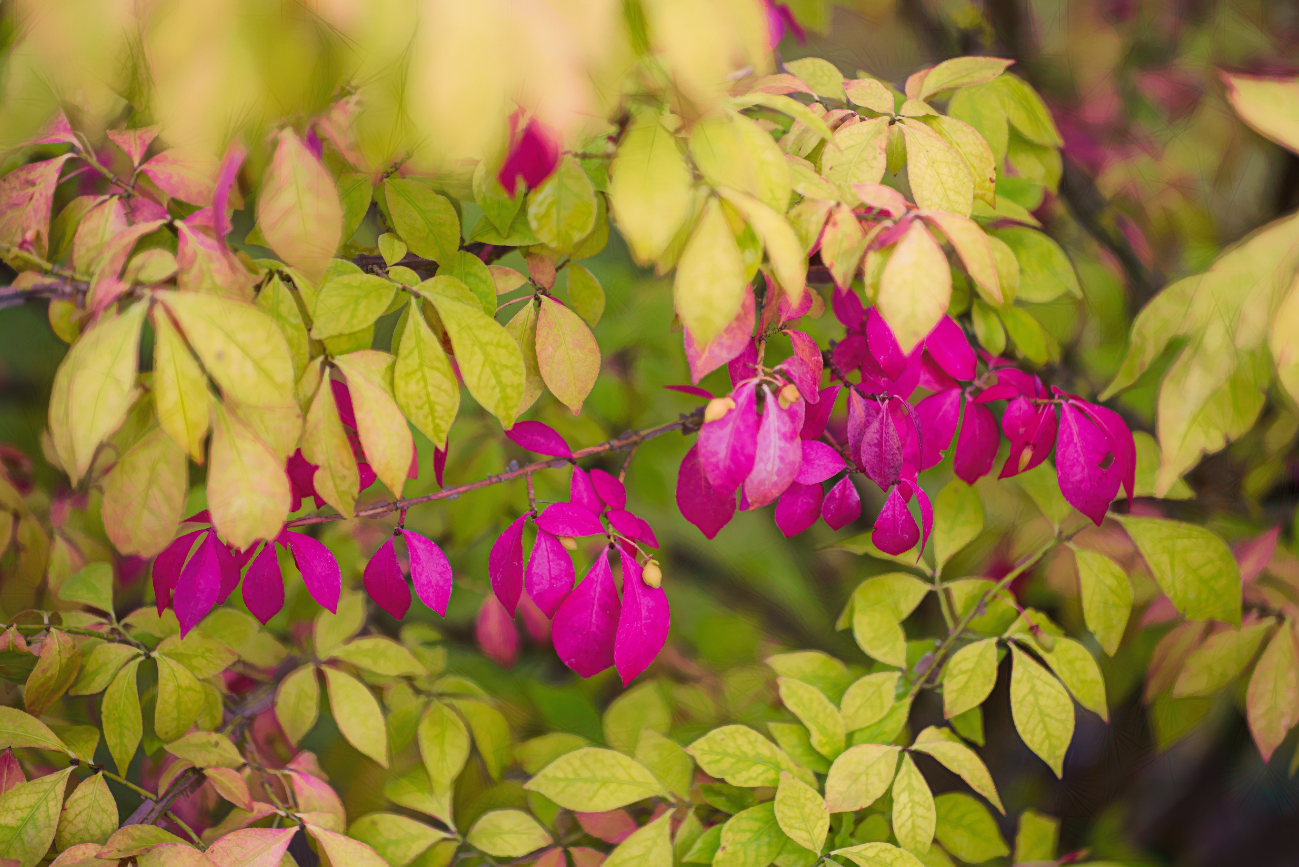 Слепки времени. Фотографии природы и событий. Москва. Сергей Аллагулов