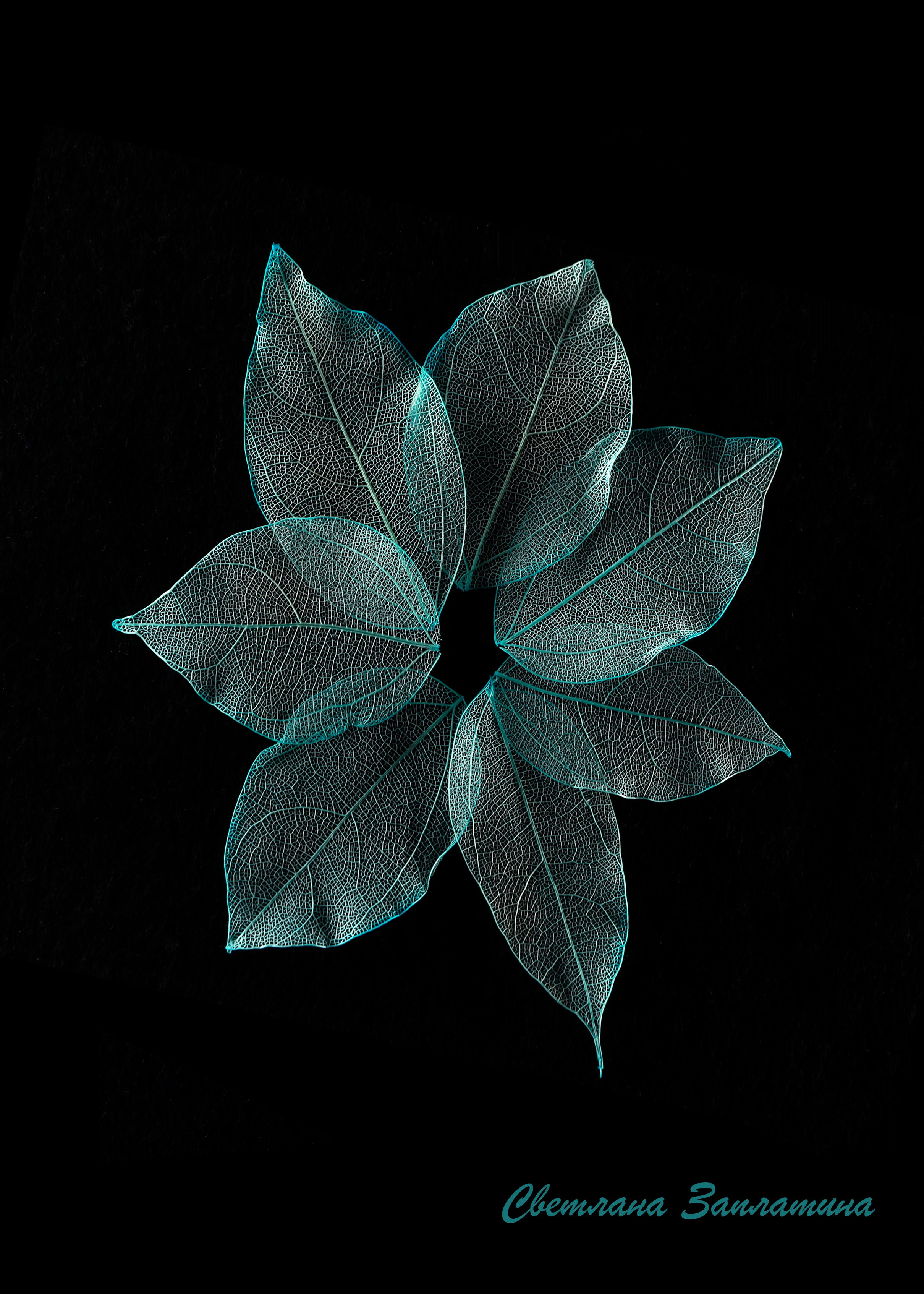 Предметная съемка. Фотограф Светлана Заплатина