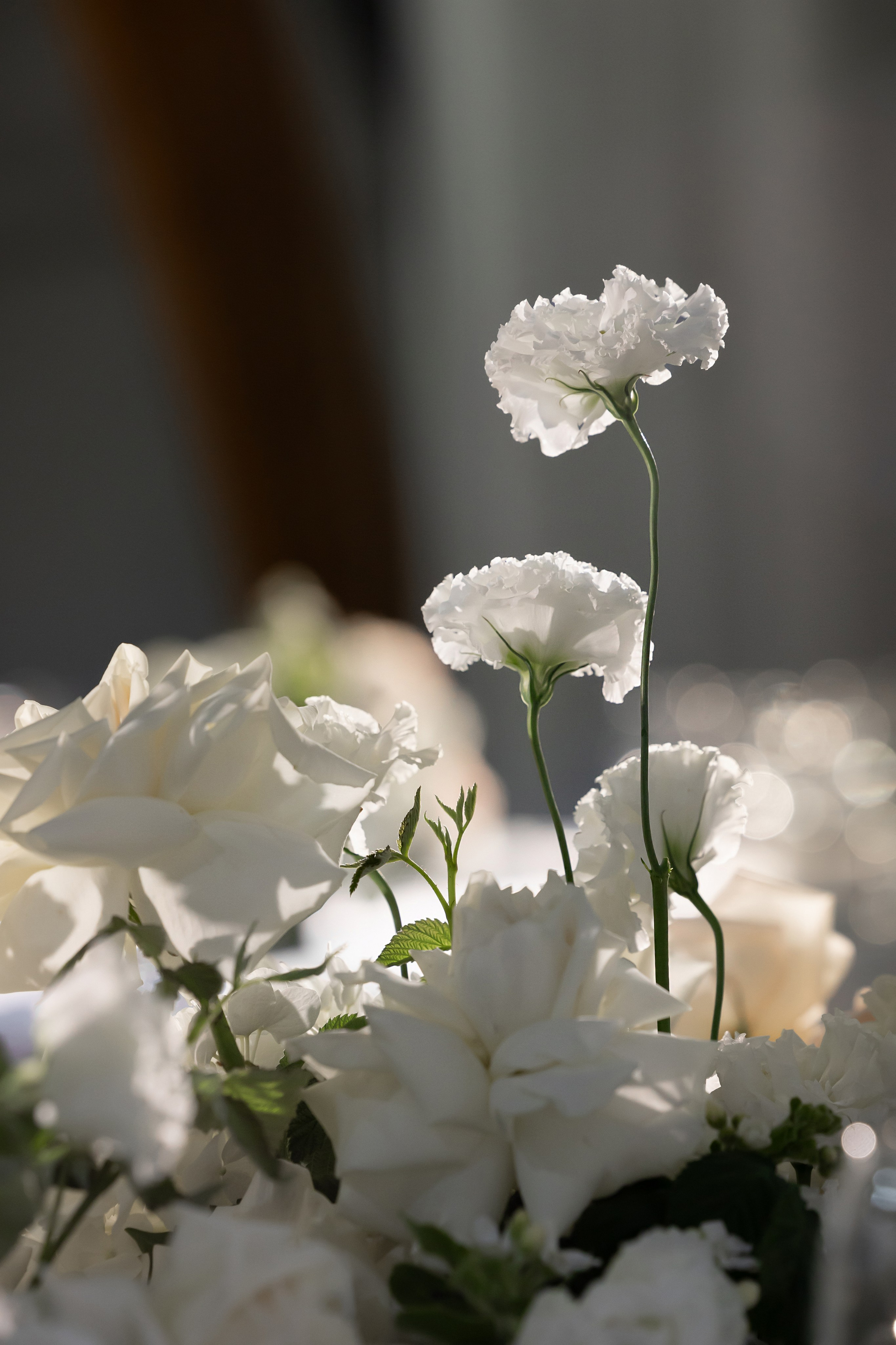 Михаил & Виктория. Обо мне