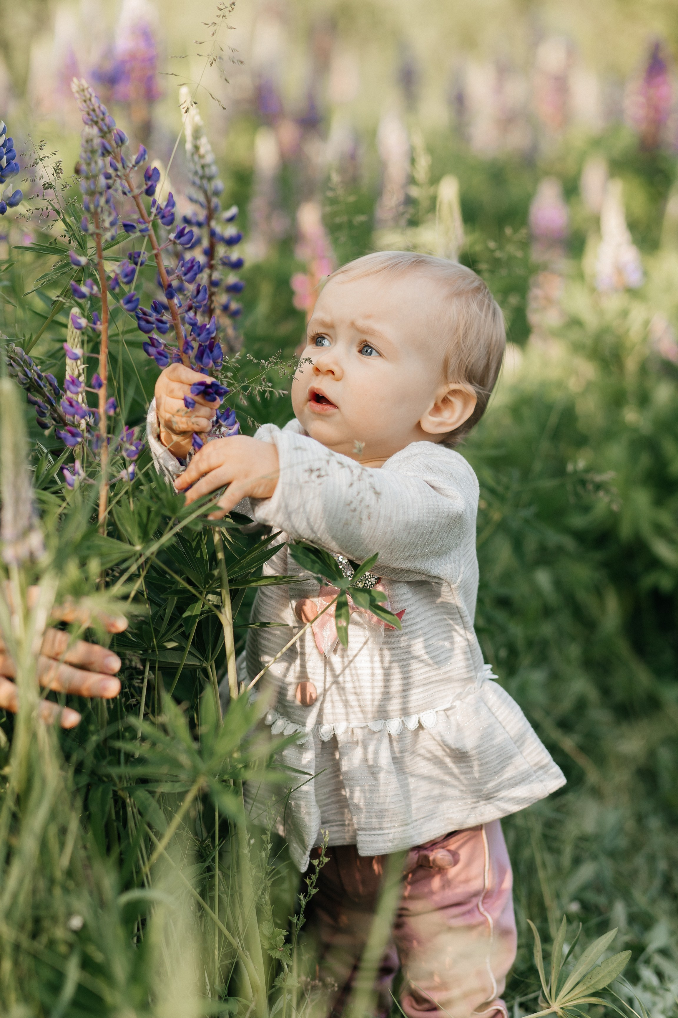 Портфолио. Свадебный фотограф Кристина Тимощук
