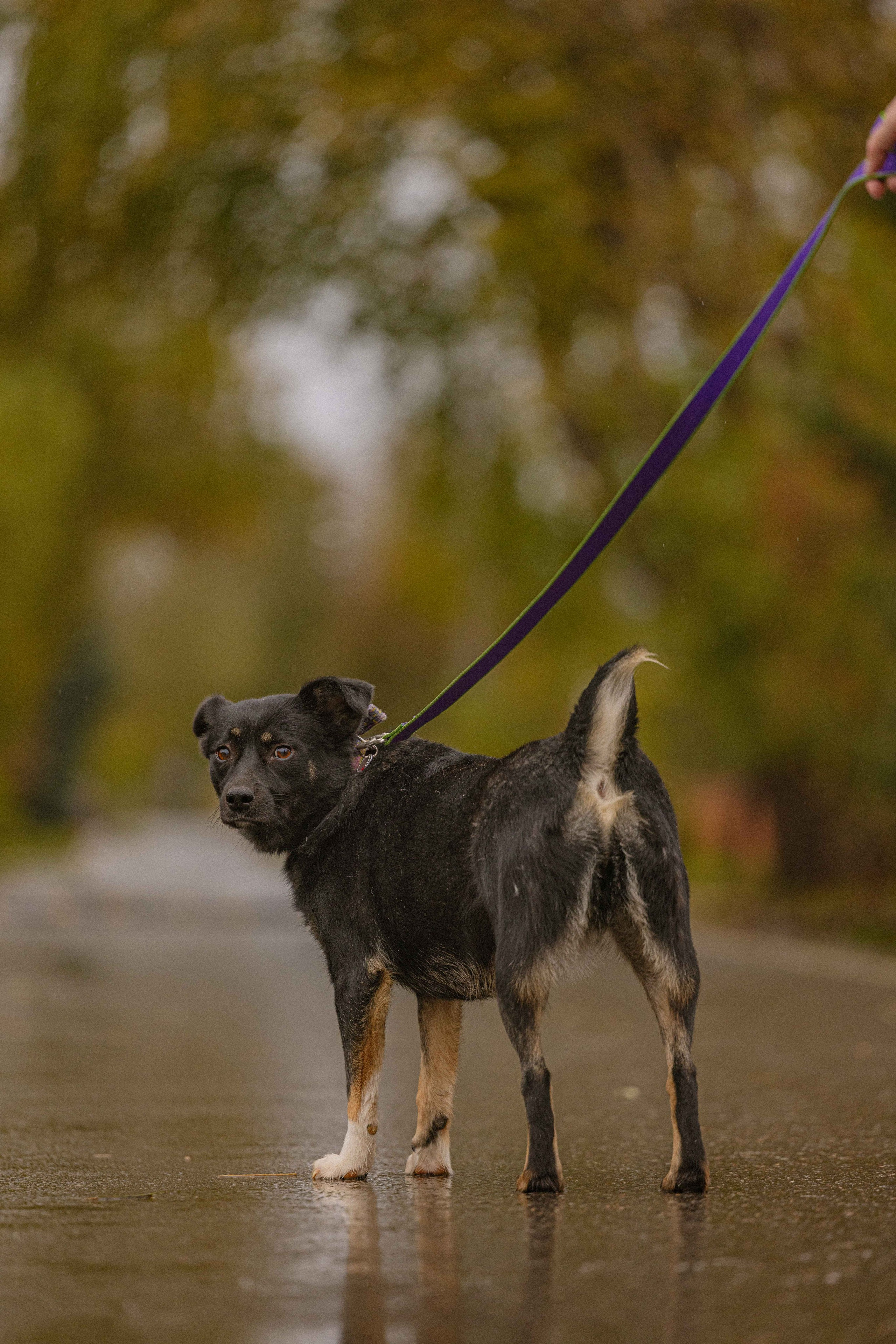 Передержка. Фотограф-анималист в Москве Лера Черноног