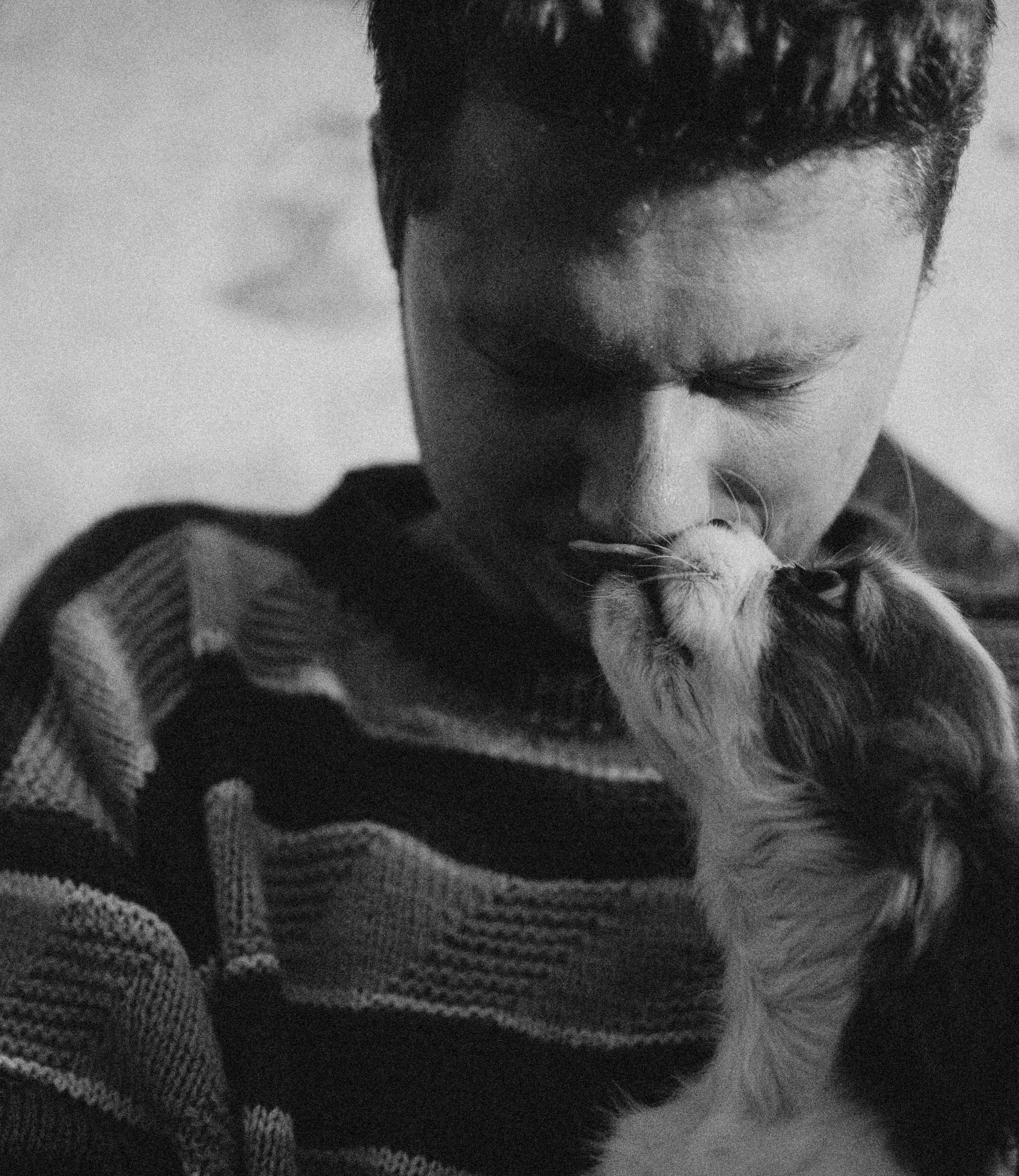 Юля и Кипр. Фотограф-анималист в Москве Лера Черноног