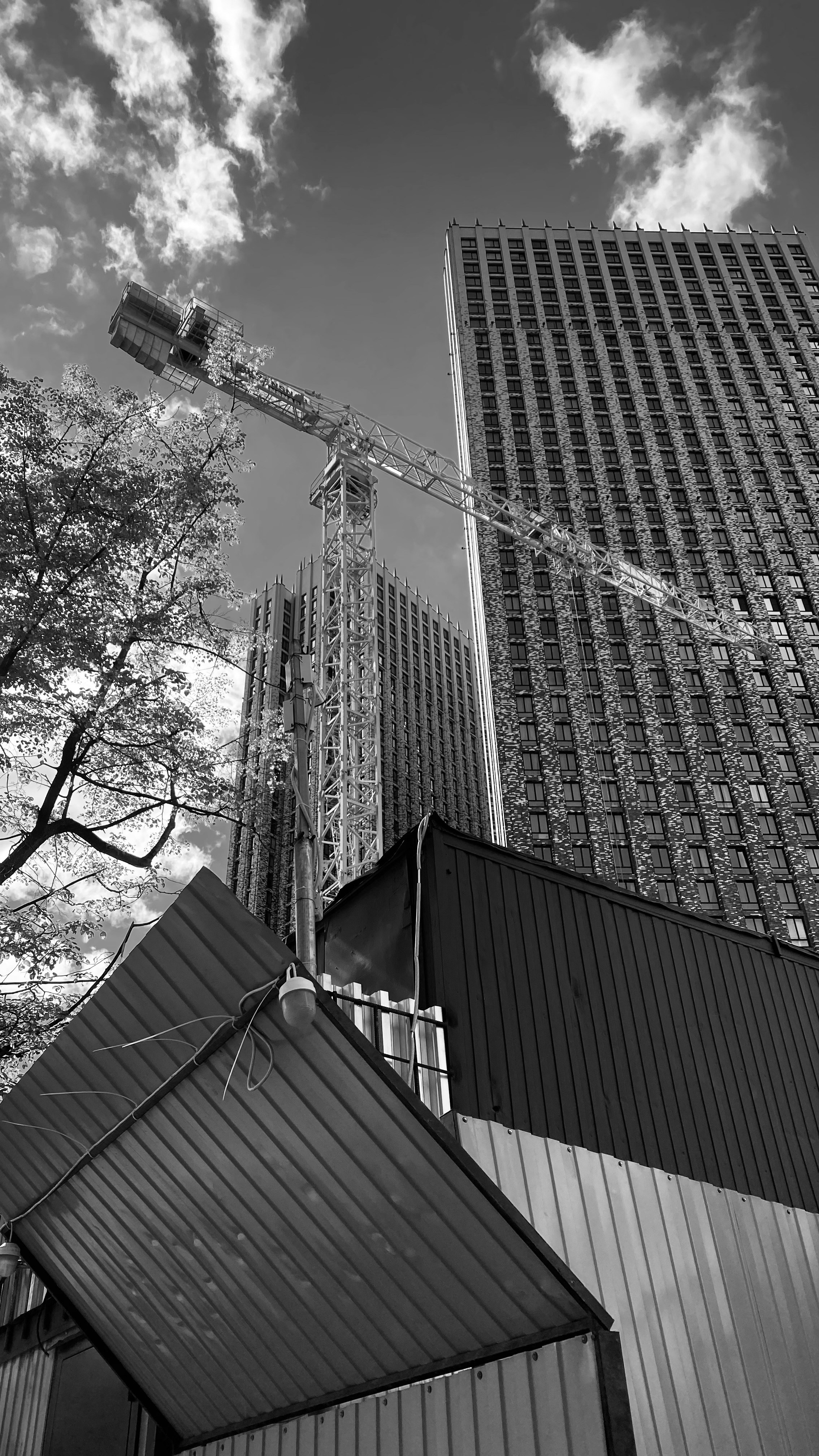 Мобильное фото. Фотограф в Москве Айгуль Евграфова