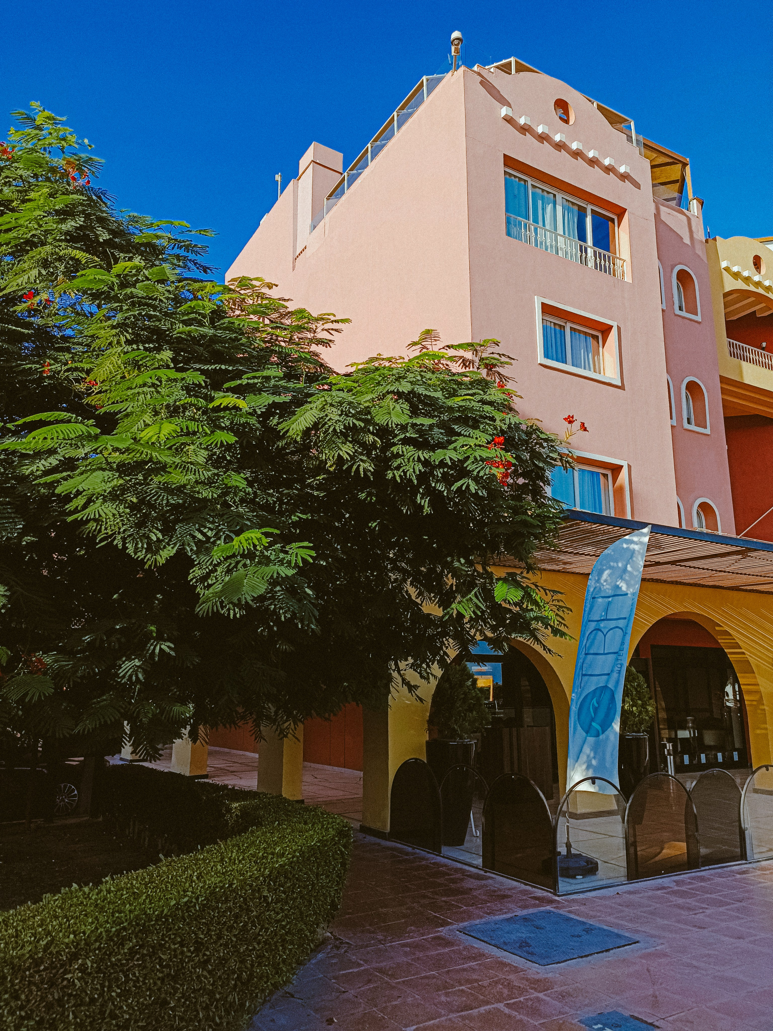 Мобильная. Jorgis — фотограф в Хургаде / обучение фотографии