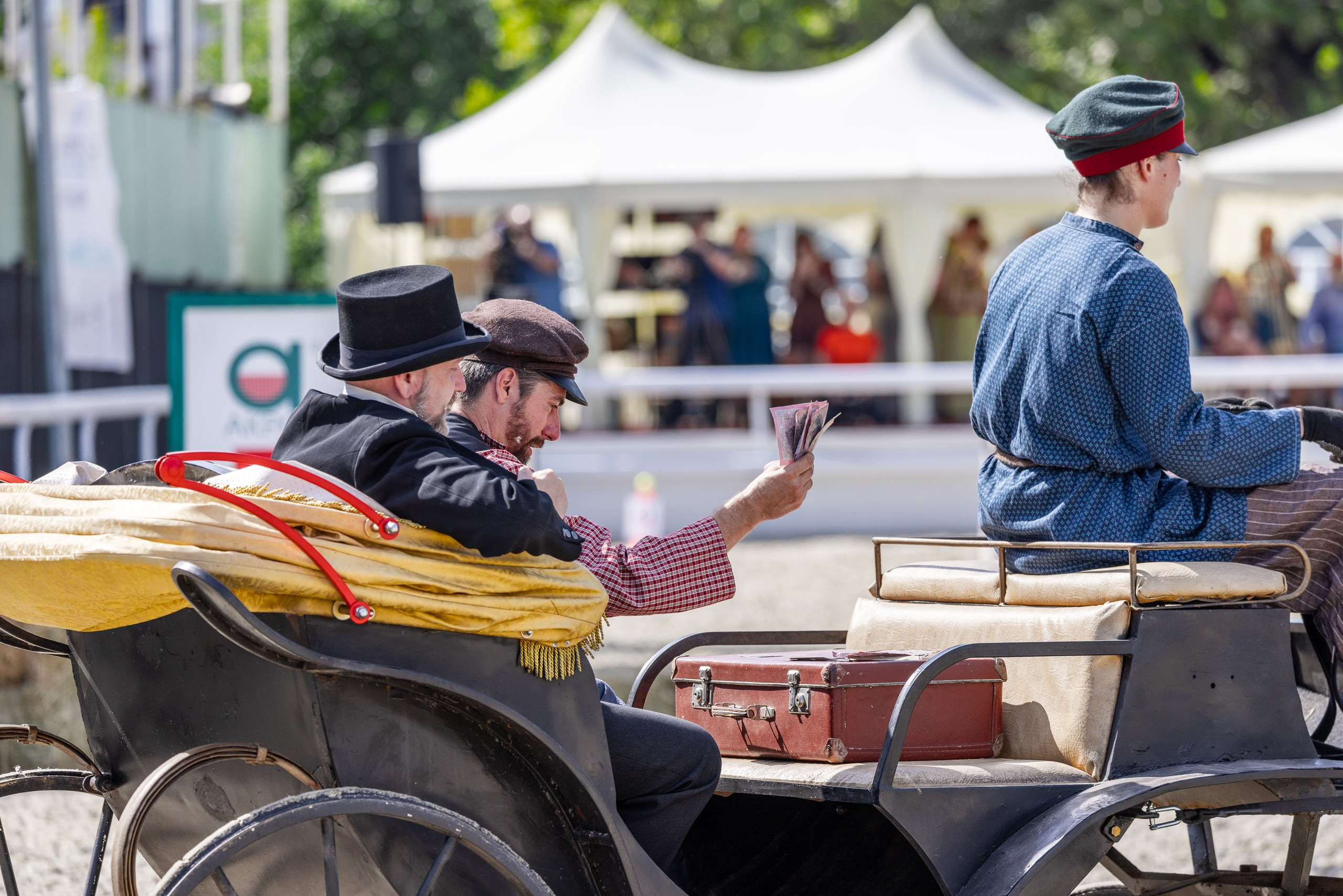 Конные выставки. Mrs.Aquarelia Конный фотограф Марианна Леонтьева