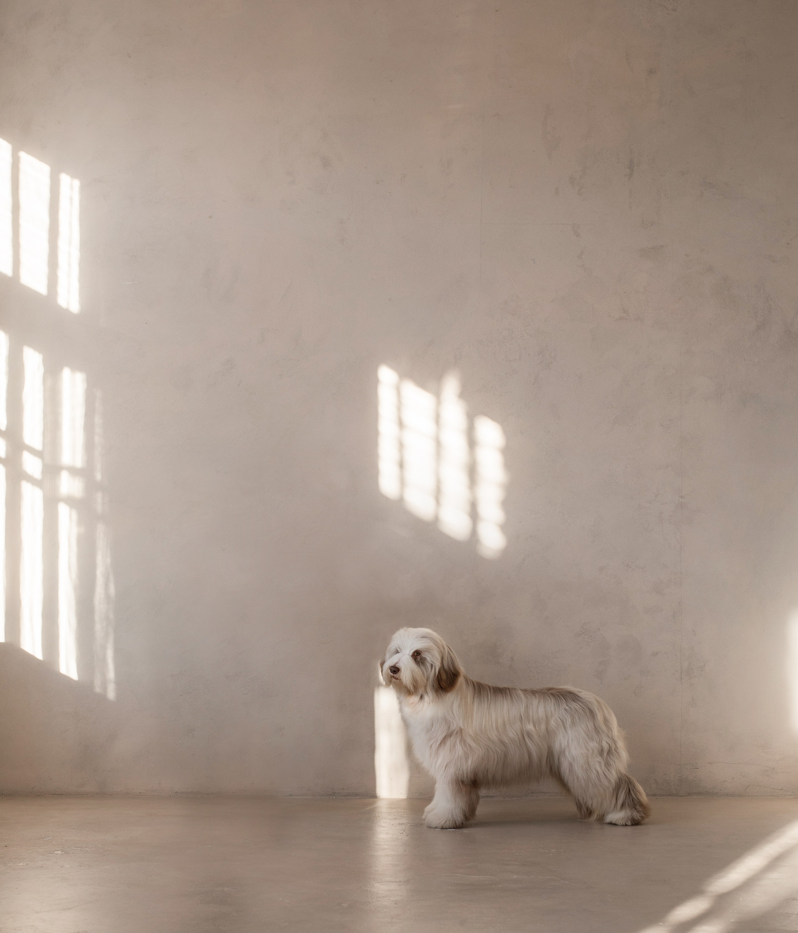 Портфолио. Фотограф-анималист в Екатеринбурге Марина Шишкина