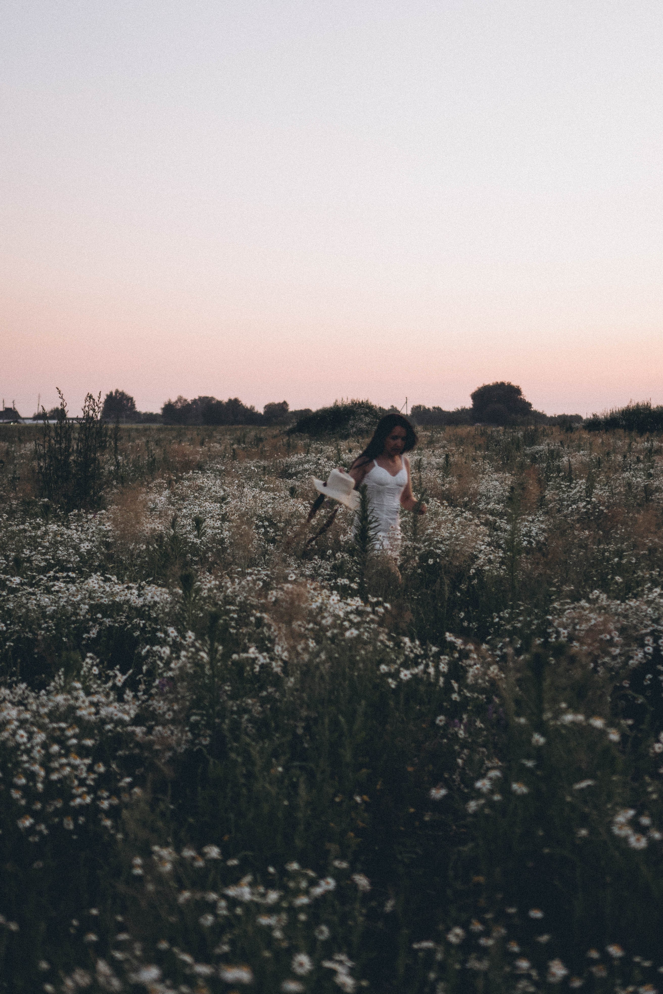 Ромашковое поле. Профессиональный фотограф, Санкт-Петербург — Виктория Богомолова