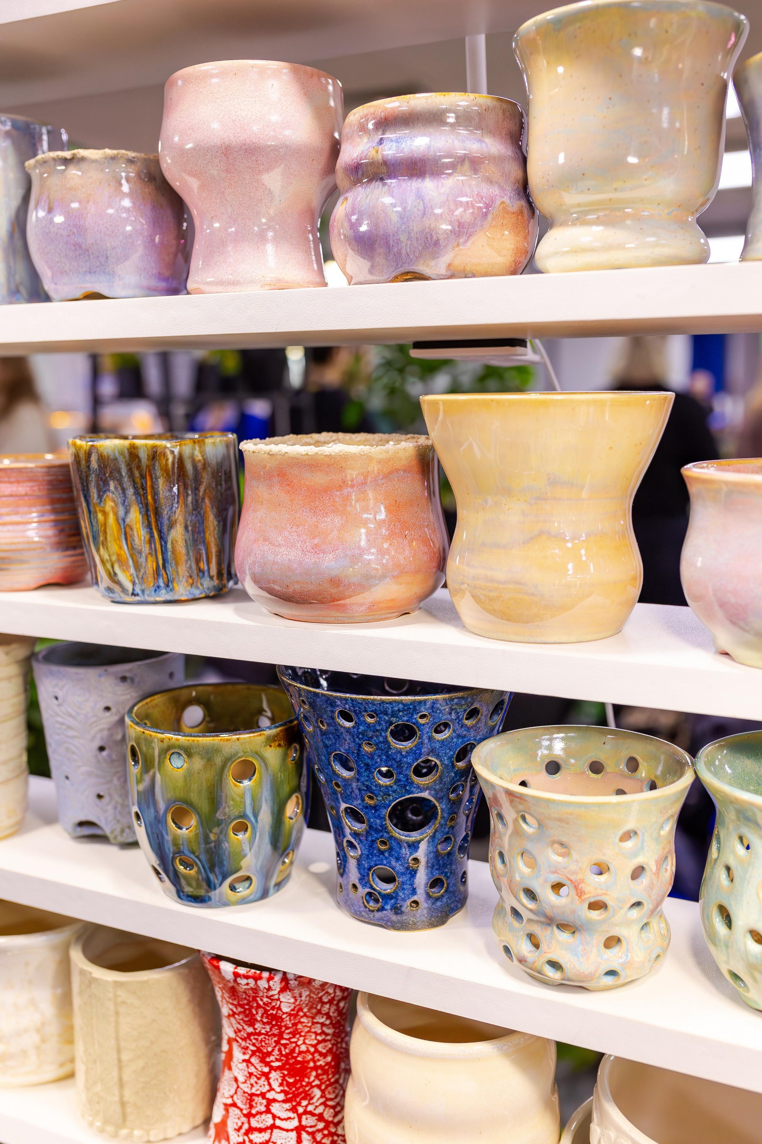 Орхидиум сентябрь 2025. Александра Куликова фотограф, Москва