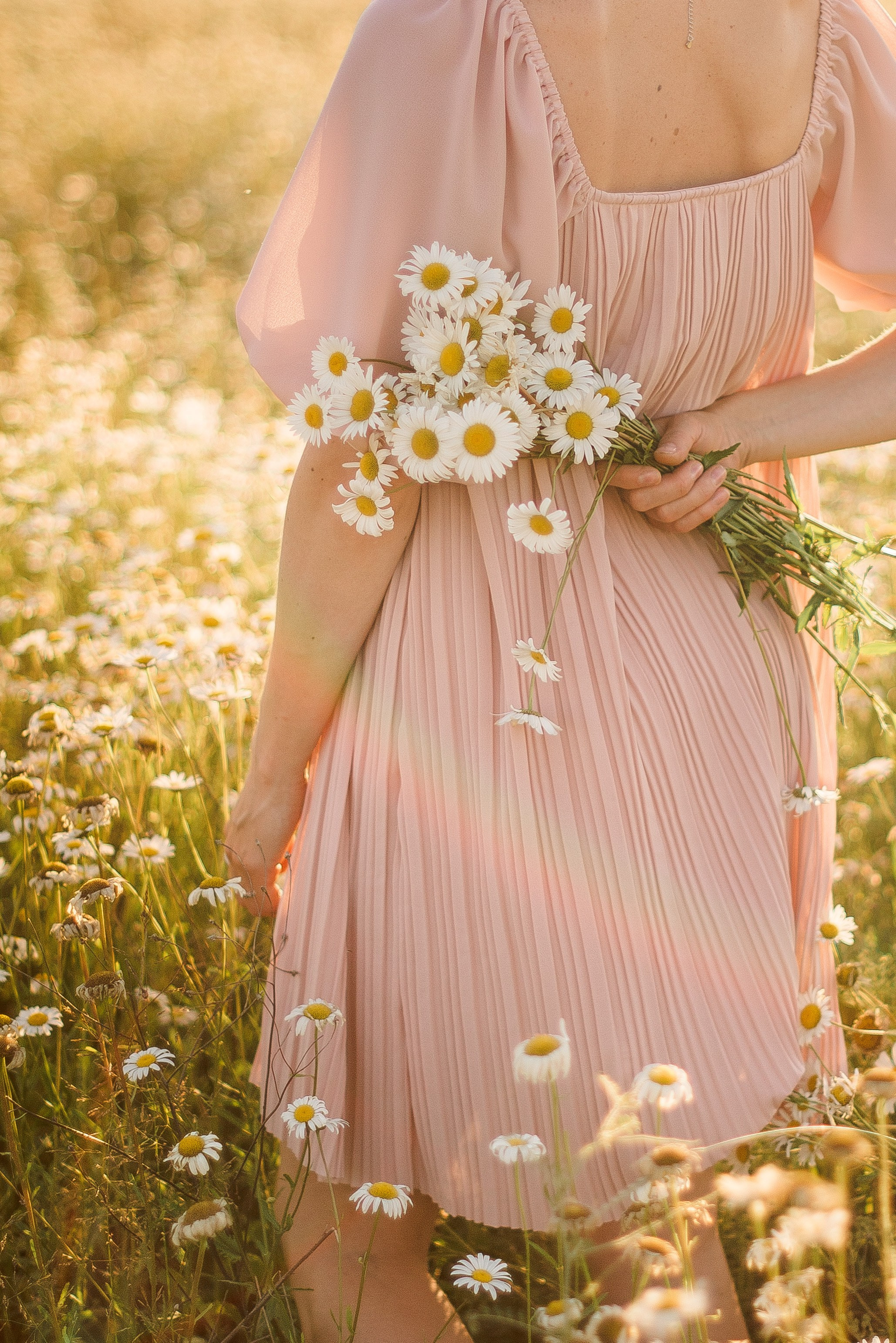 РОМАШКОВАЯ ИСТОРИЯ. Свадебный и семейный фотограф РИТА БОЧКАРЁВА