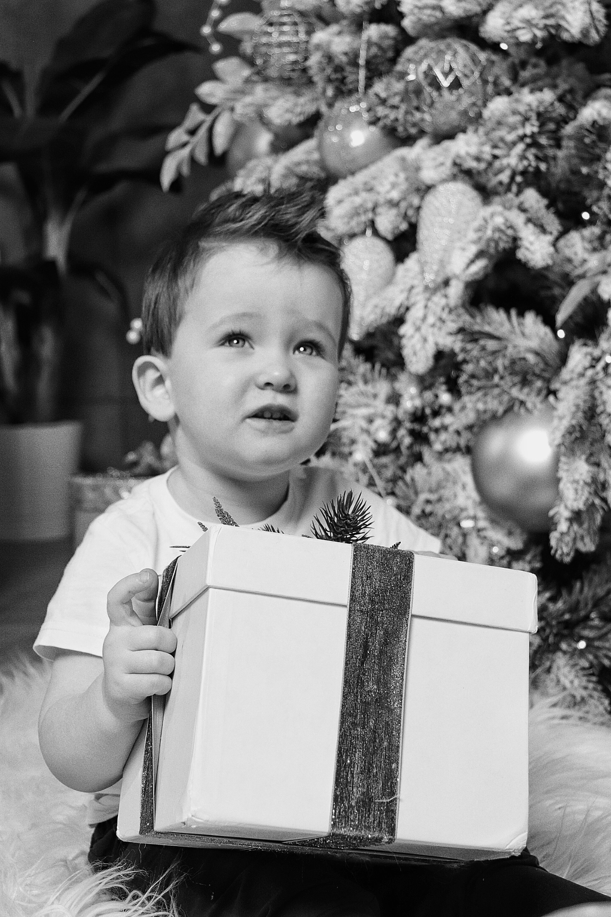 А когда подарки?. APPHOTOGRAPHY | Фотохудожник Анна Камчатная