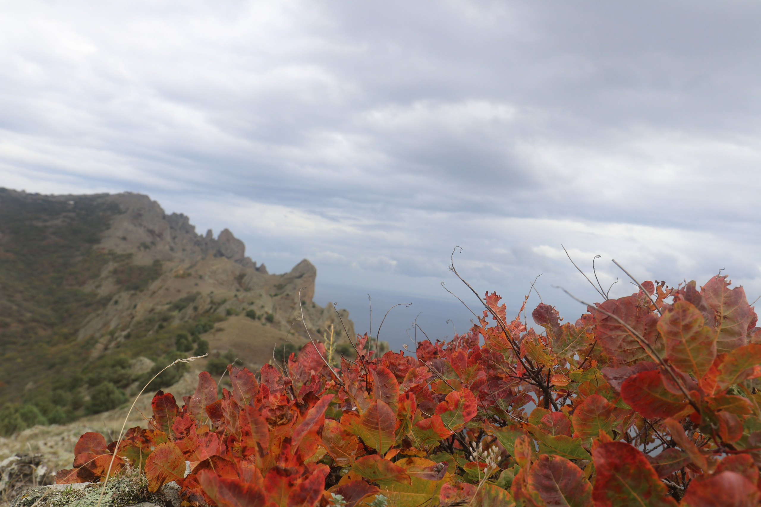 Крым. ЮБК (Судак, Карадаг). Ноябрь 2020. Путешественник-фотограф из Санкт-Петербурга Татьяна Свистулина