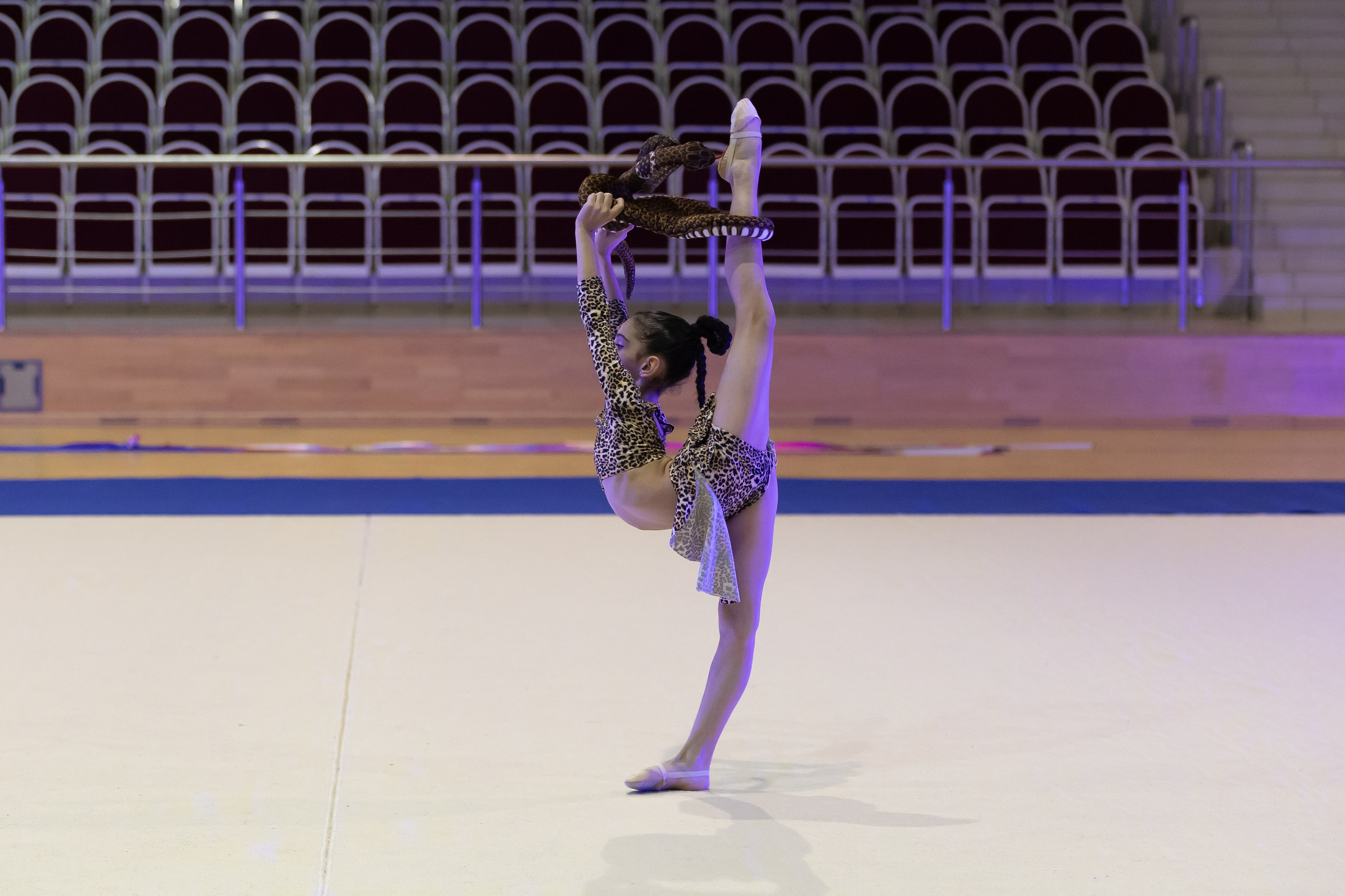 ЦХГ «PIK» 21.12.2024. Фото и видео съемка Ваших мероприятий