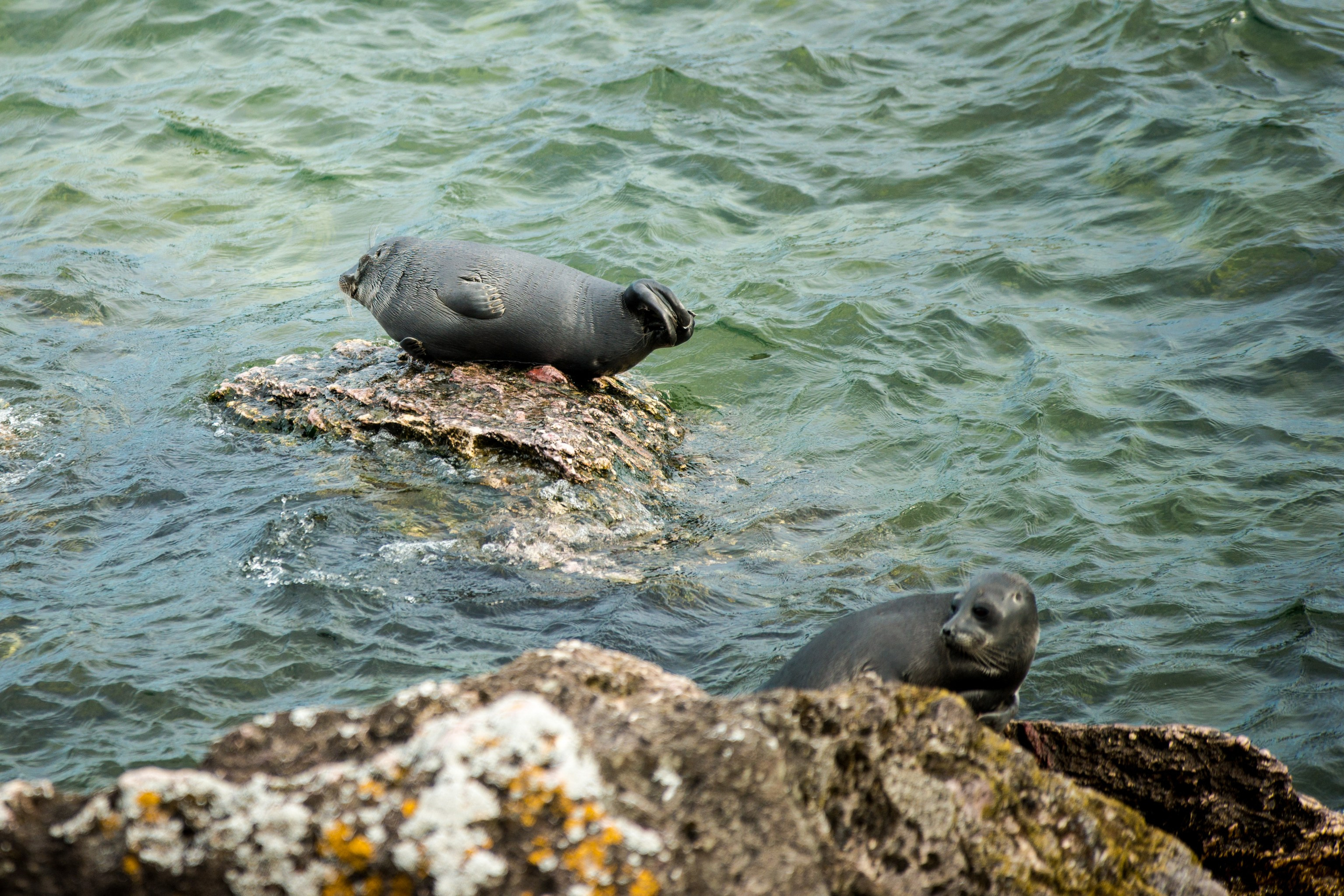 Фотографии озера Байкал. Петр Ступень. Свадебное, семейное фото и видео. Москва. Краснодар
