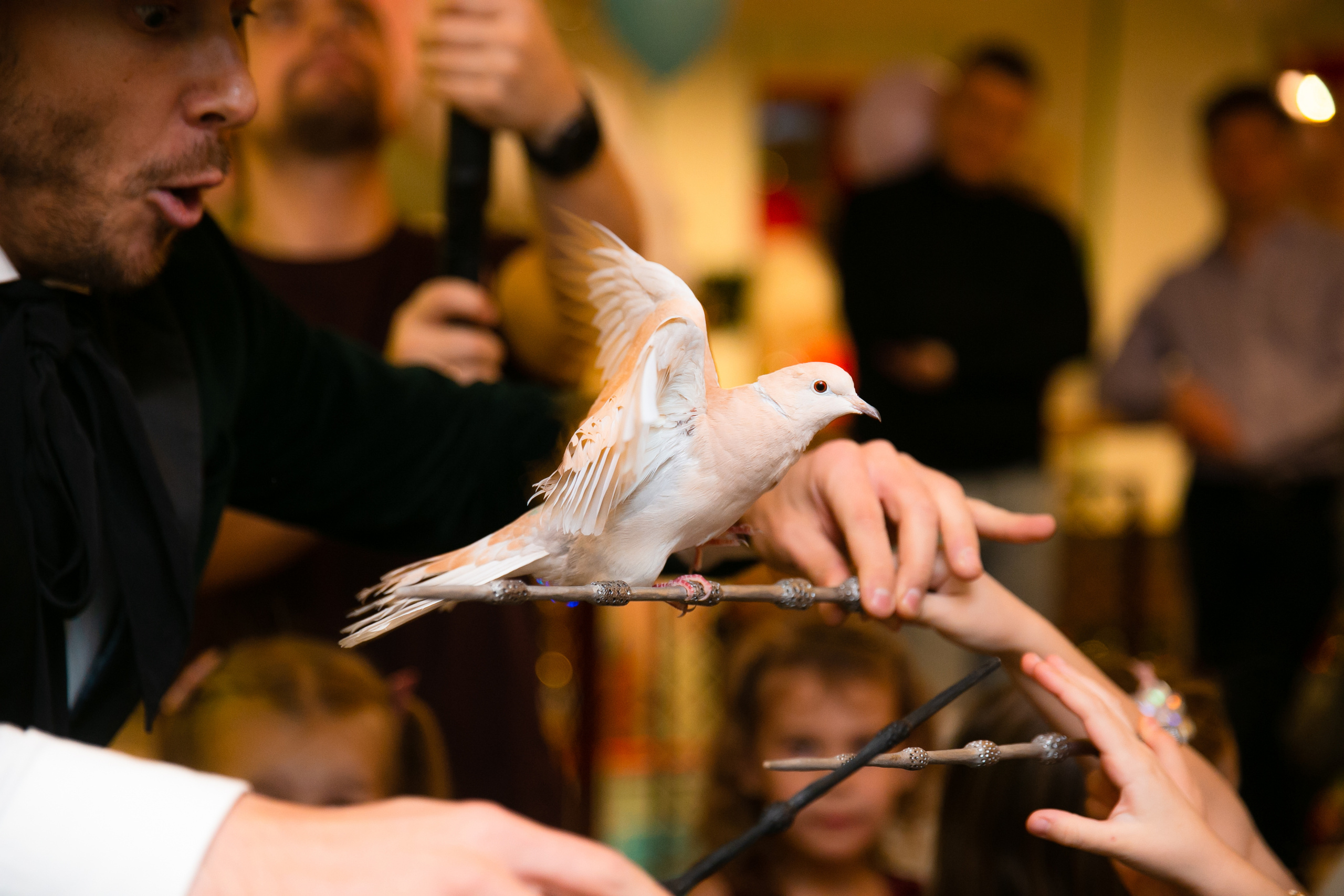 Дети. Свадебный фотограф Солонский Валерий