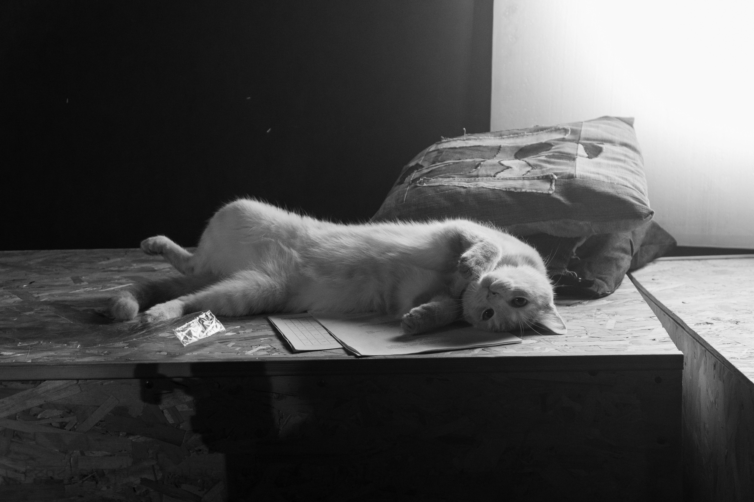 Ещё. Фотограф в Санкт-Петербурге Авдотья Благовещенская