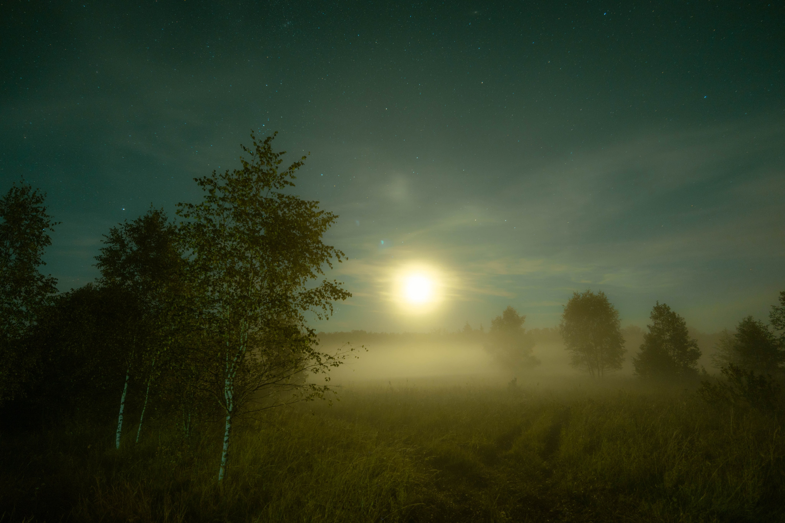 ПЛАНЕТА ЗЕМЛЯ (пейзаж). АЛЕКСЕЙ КОЛМАКОВ. Фотограф. Москва и Московская область