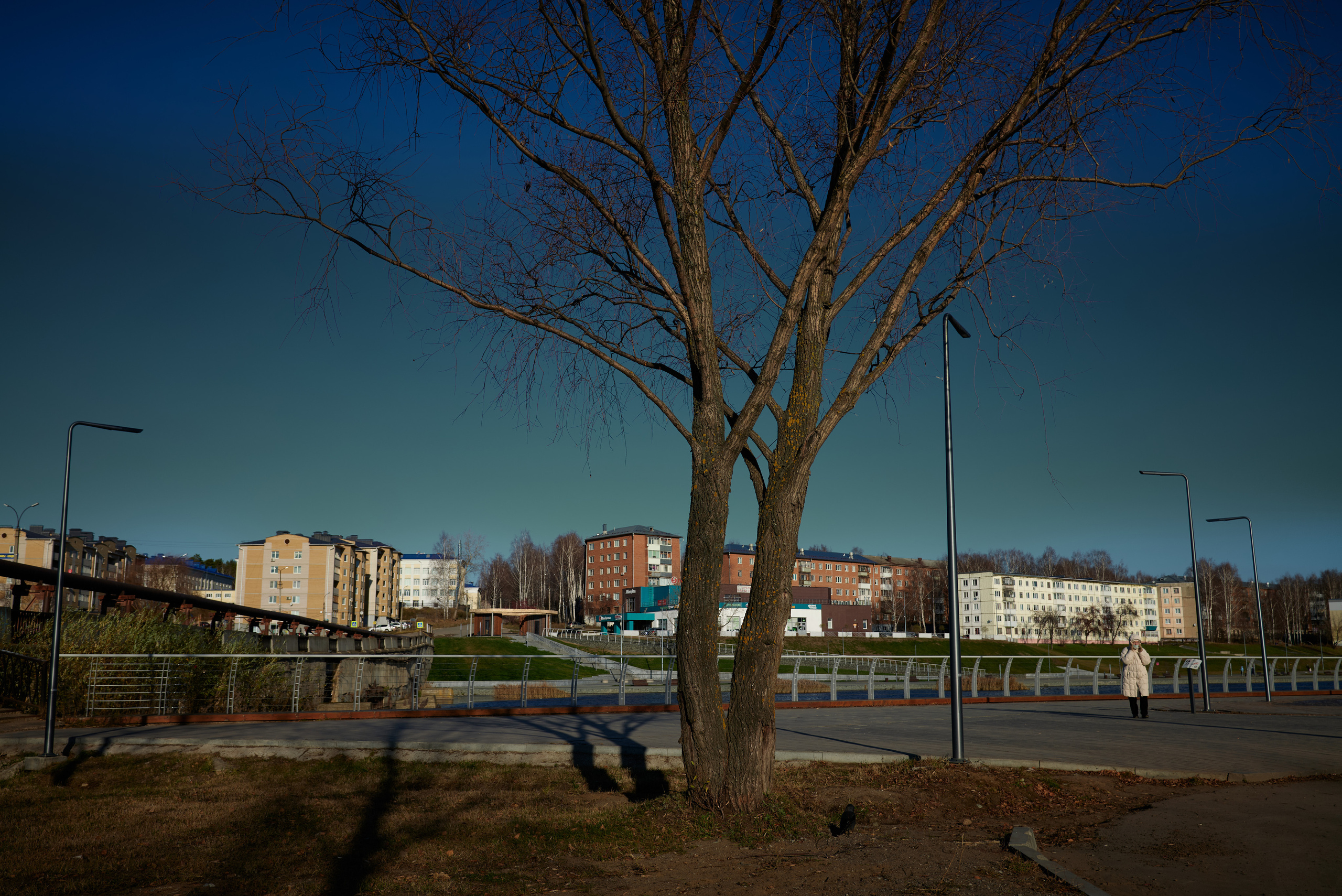 Снято сейчас. Владимир Власюк