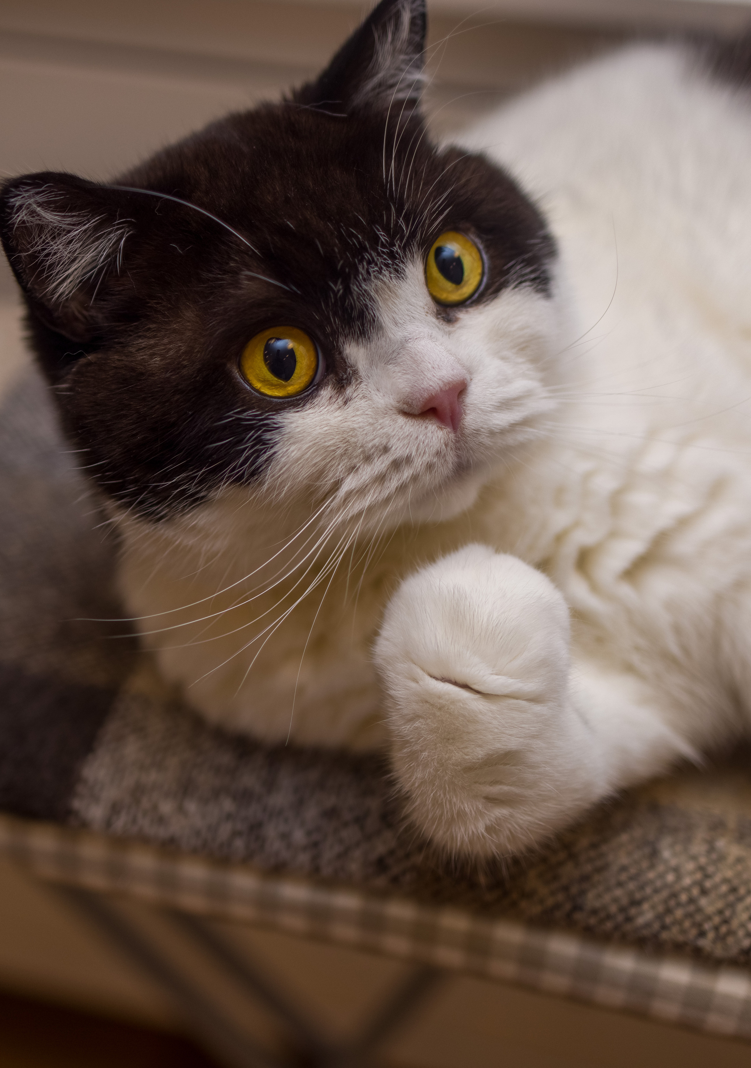 Снято сейчас. Владимир Власюк