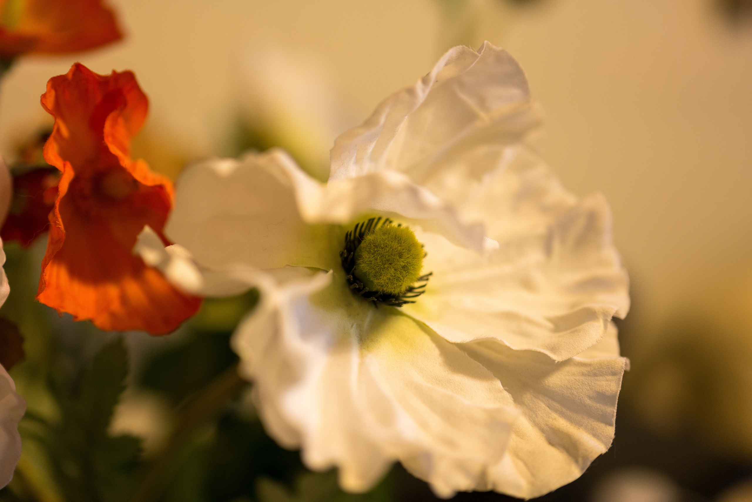 Снято сейчас. Владимир Власюк