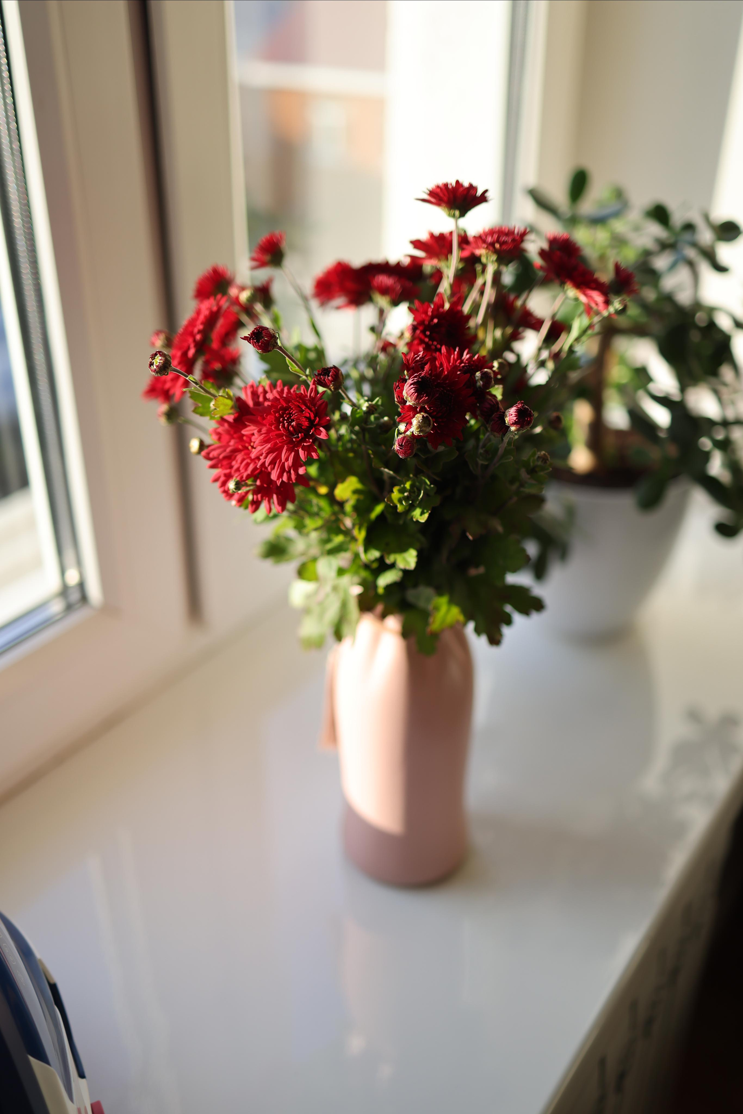 Снято сейчас. Владимир Власюк