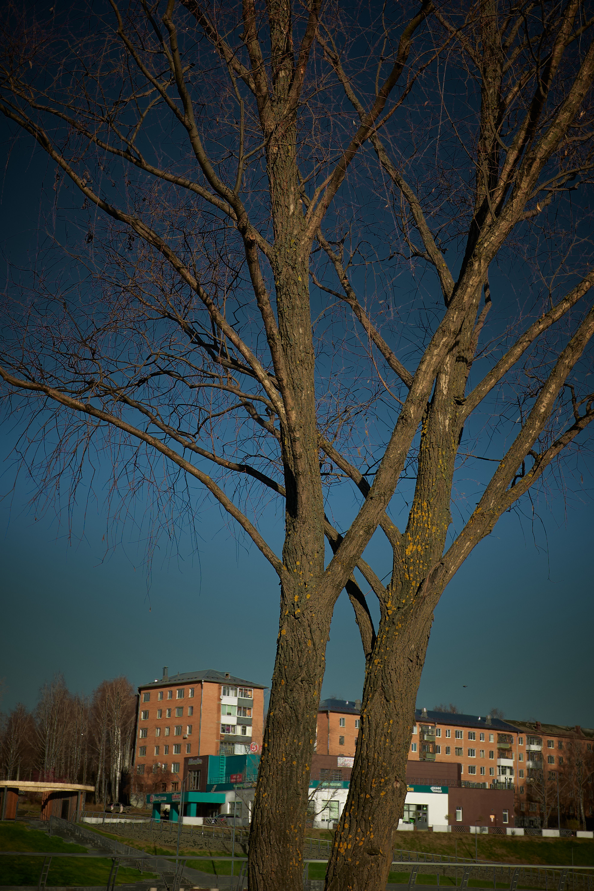 Снято сейчас. Владимир Власюк