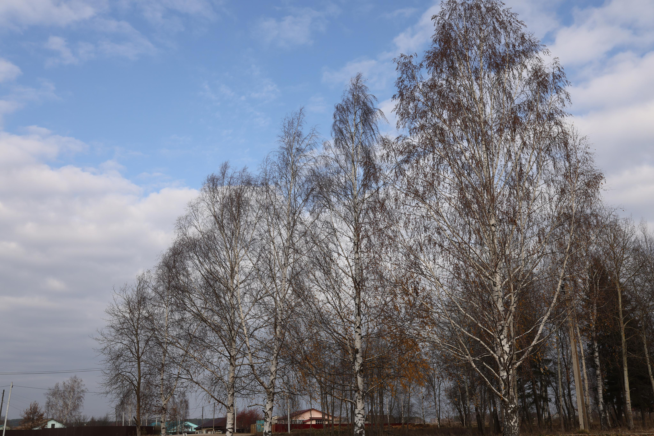 Снято сейчас. Владимир Власюк