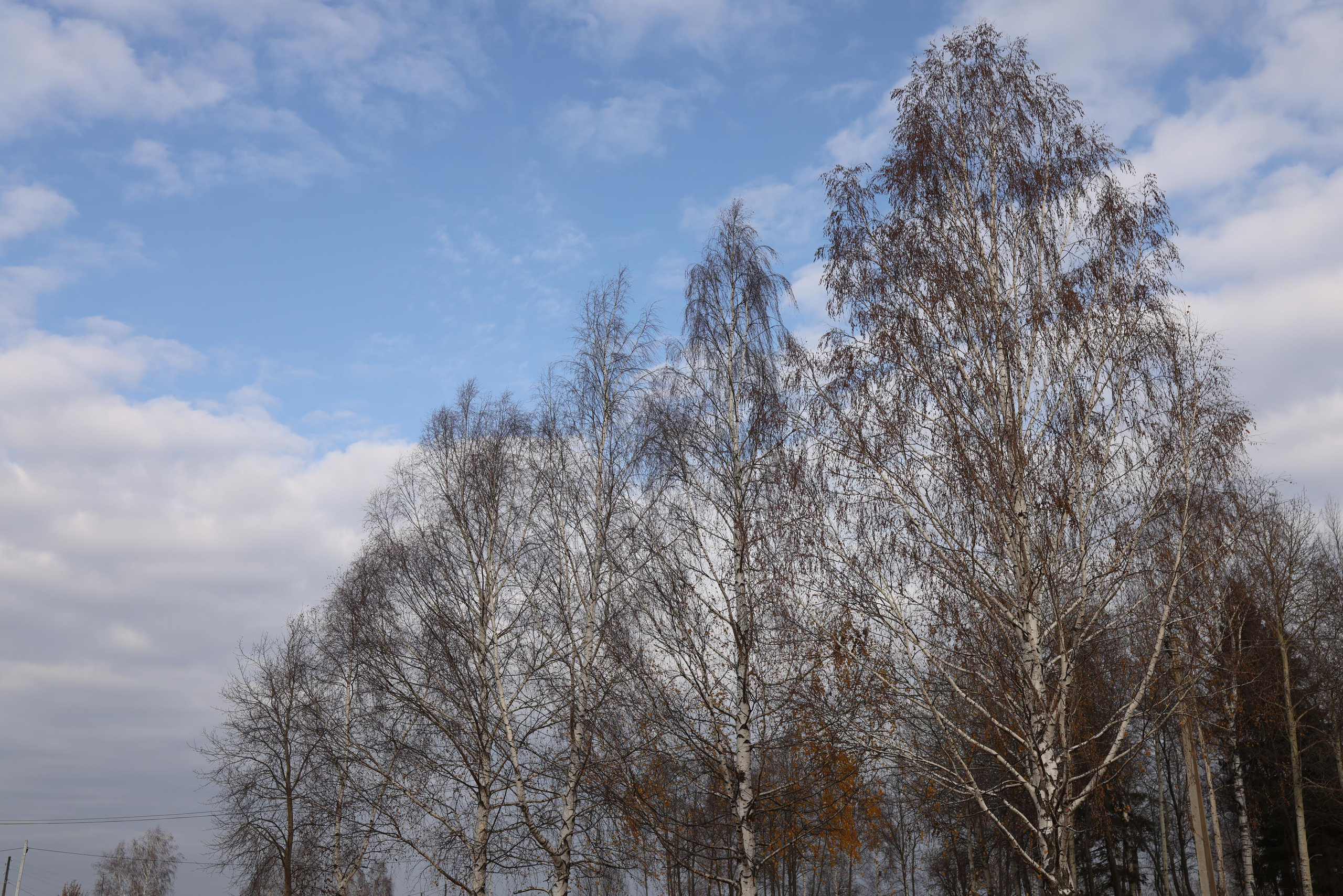 Снято сейчас. Владимир Власюк